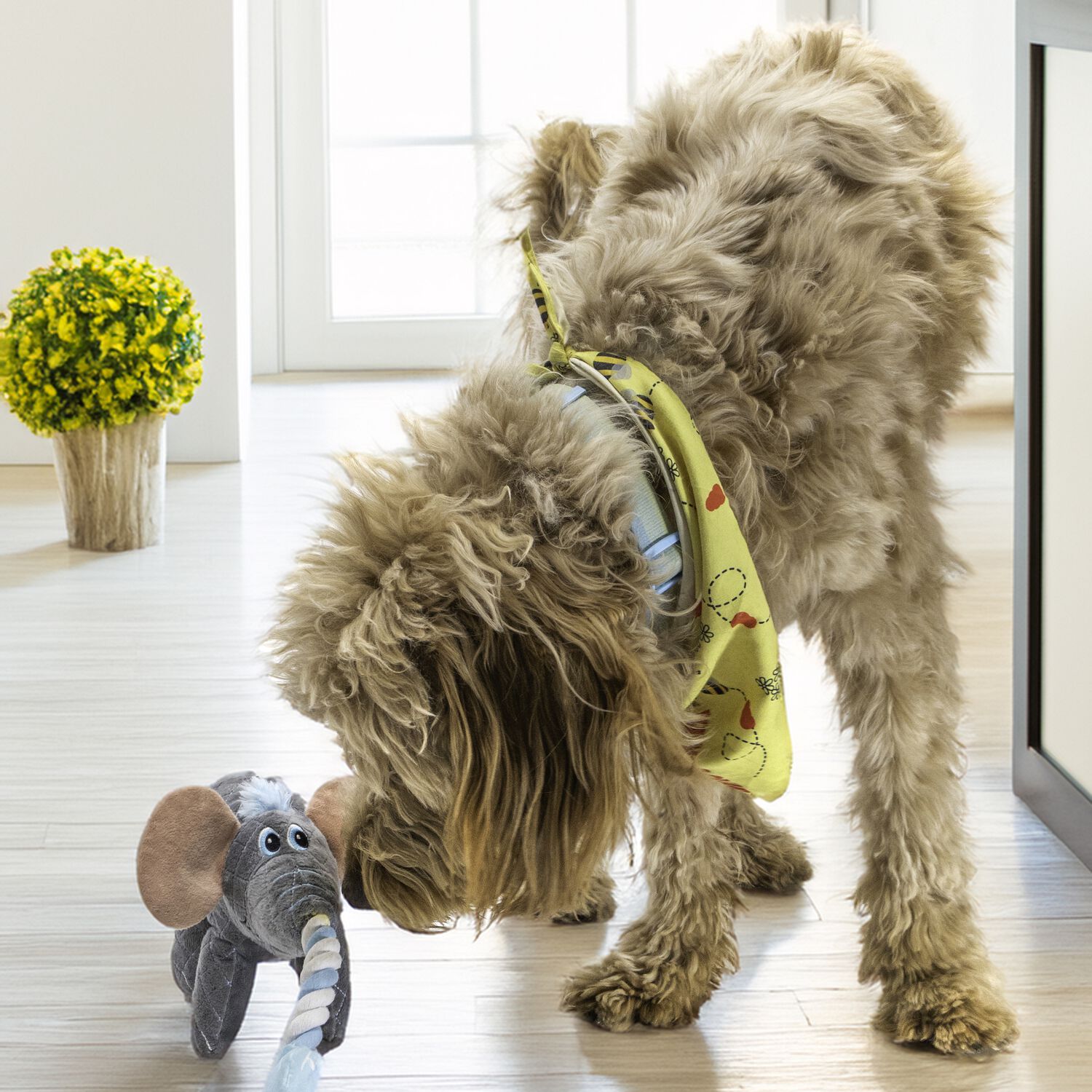 Kong Bendeez Elephant Plush Durable Rope & Tug Dog Toy - 12"