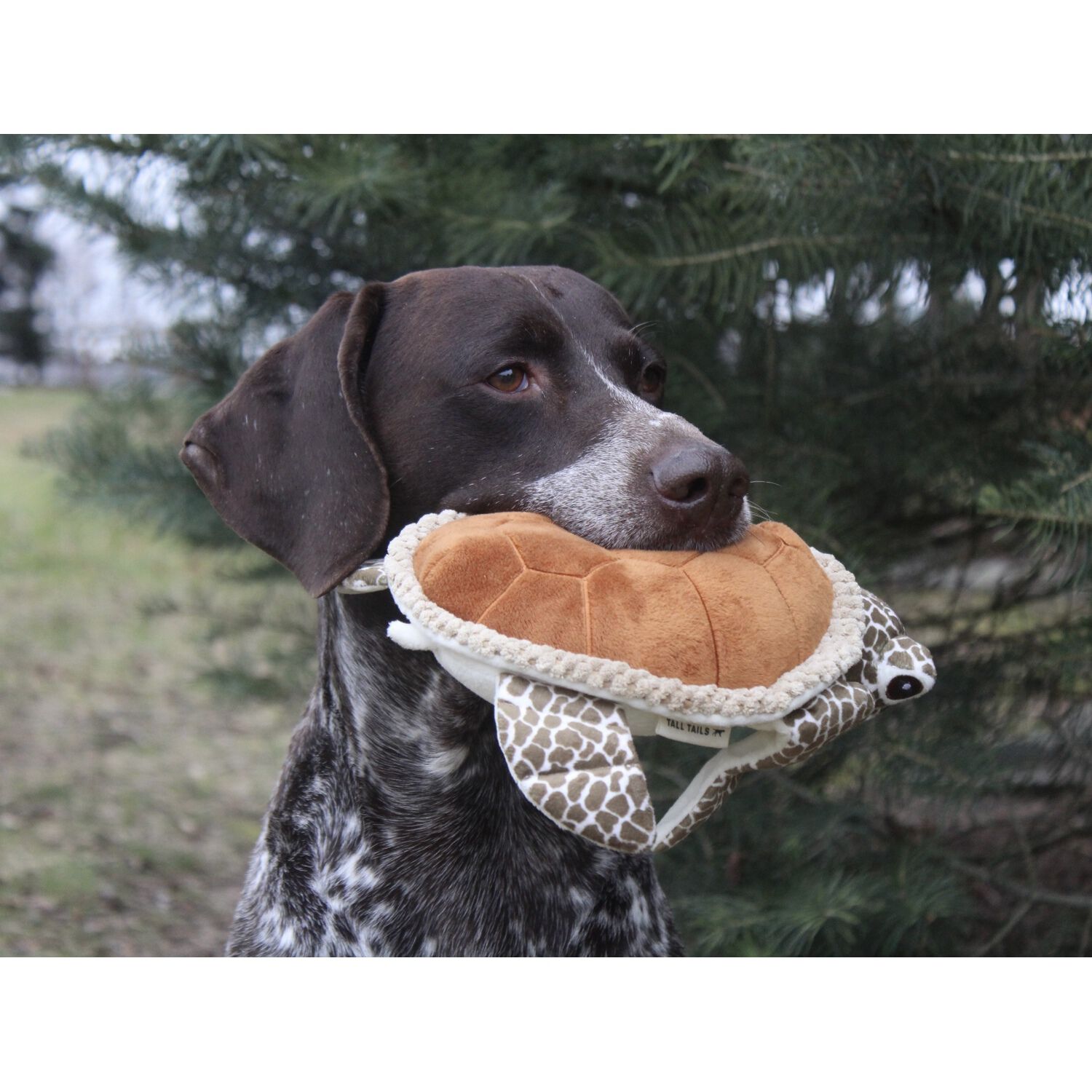 Tall Tails Animated Sea Turtle Dog Toy