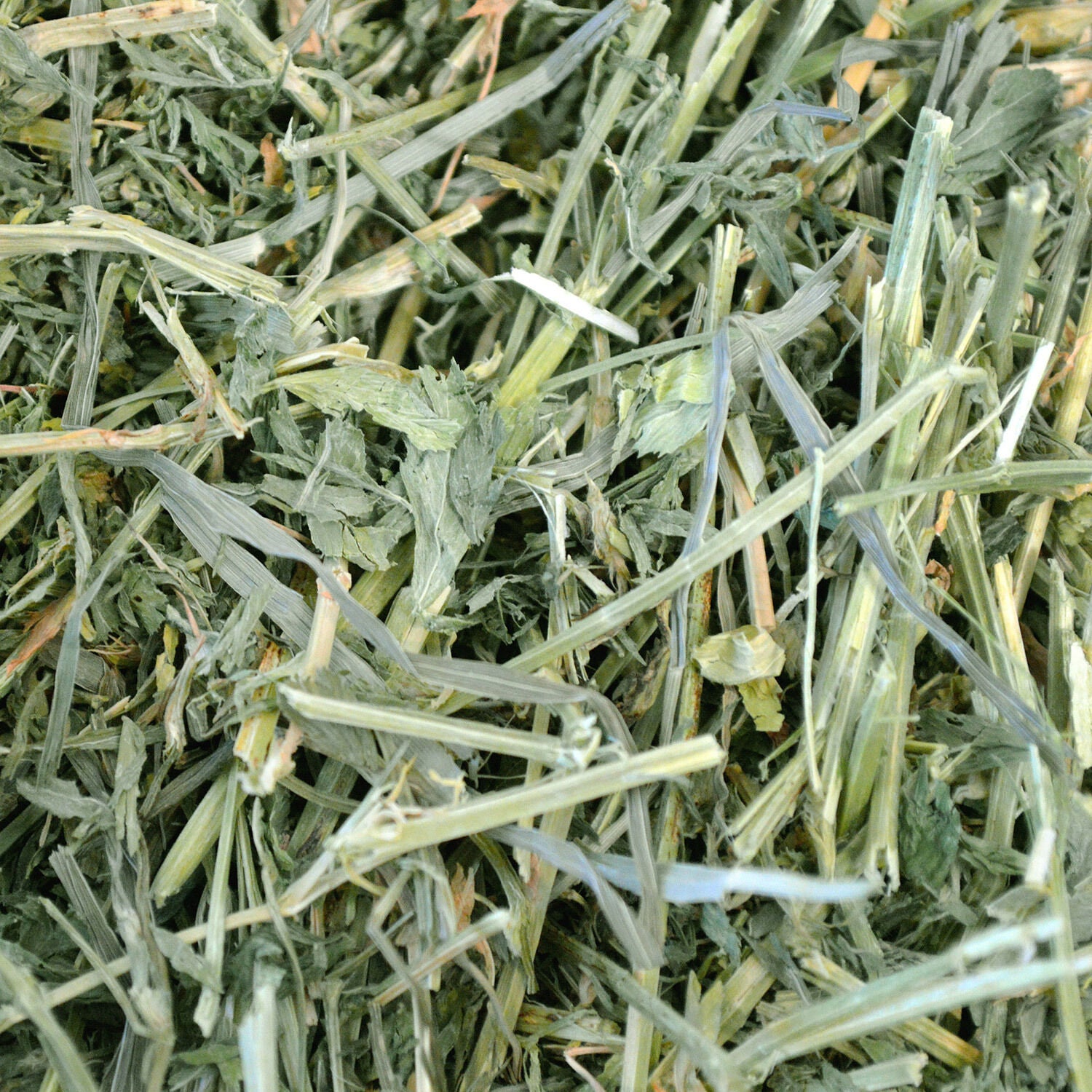 Oxbow Alfalfa Hay For Small Animals