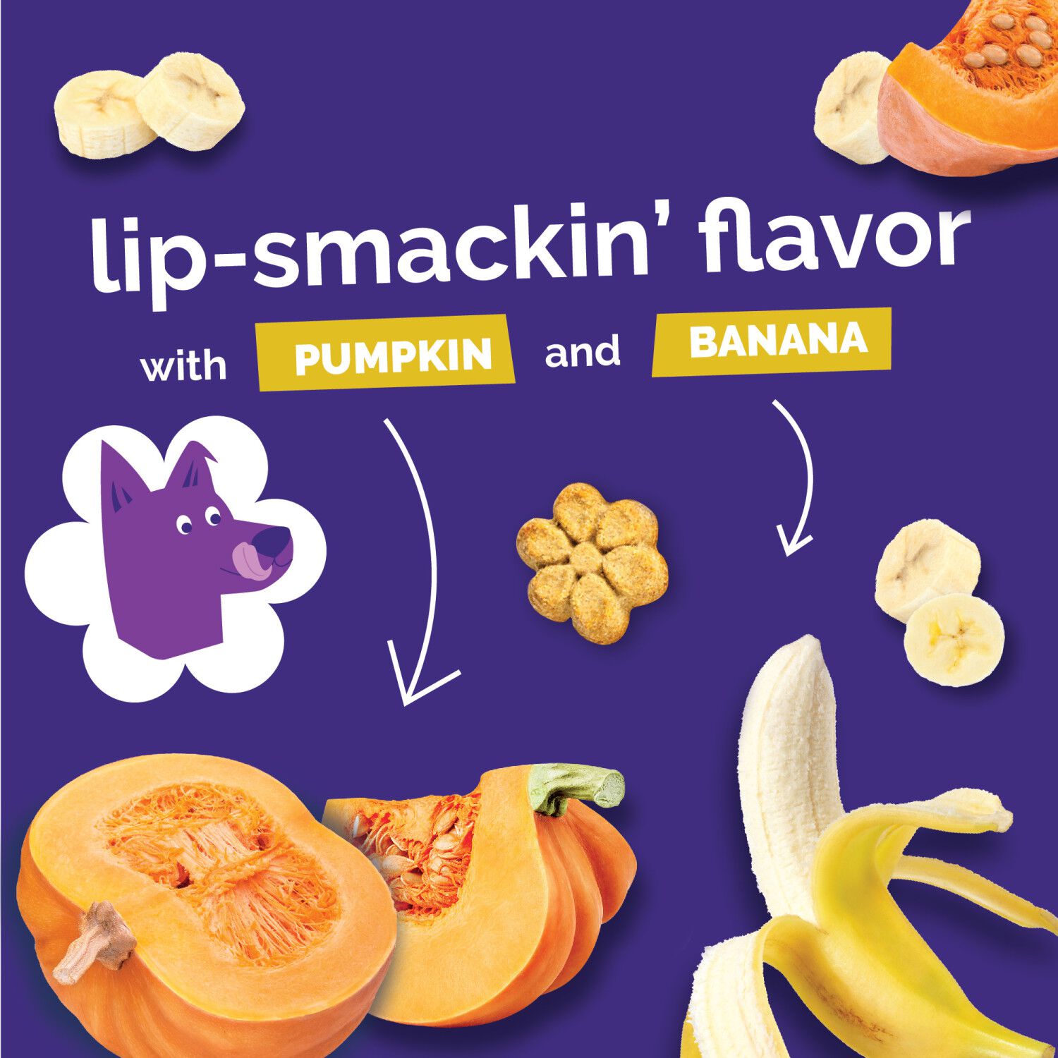 Fruitables Pumpkin & Banana Low Calorie Baked Crunchy Dog Treats, 12-Oz Bag