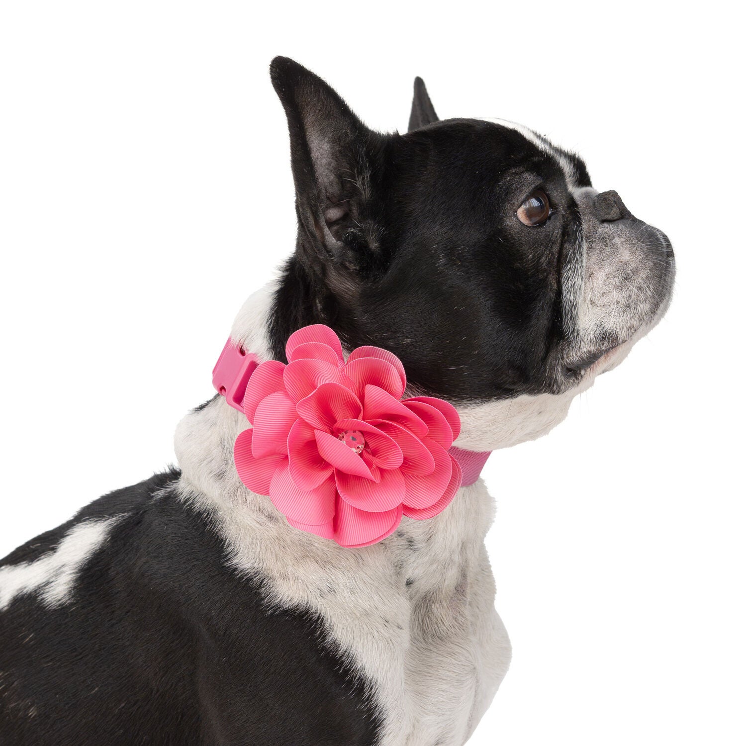 Simply Dog Pink Flower Gem Dog Collar