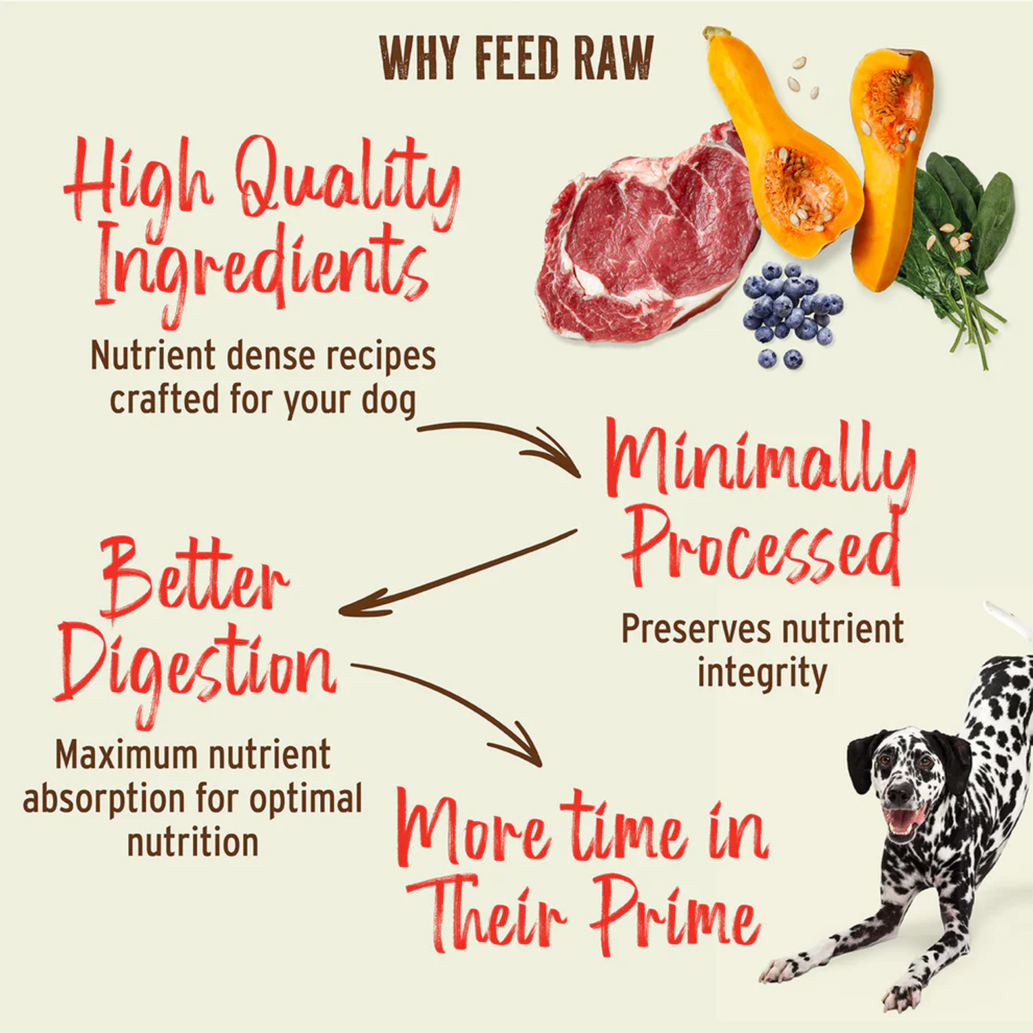 Primal Freeze-Dried Raw Nuggets Freeze-Dried Dog Food, Turkey & Sardine Formula, 30-Oz Bag