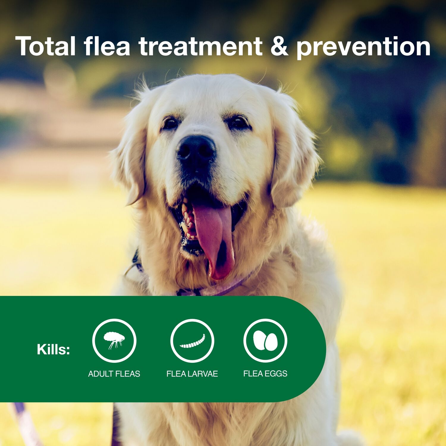 Advantage Ii Flea Treatment For Small Dogs, 3-10-Lbs, 6-Pack = 6 Months Of Protection