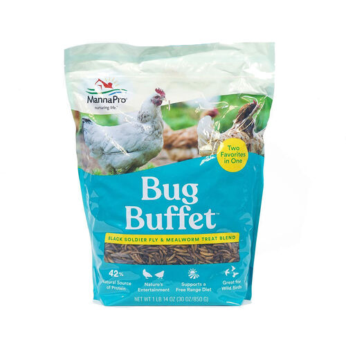 Bug Buffet