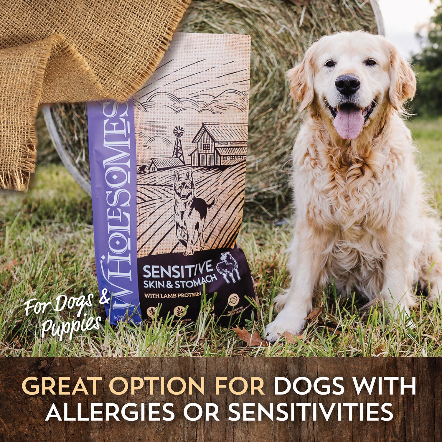 Wholesomes Sensitive Skin And Stomach Dry Dog Food, Lamb, 30Lb
