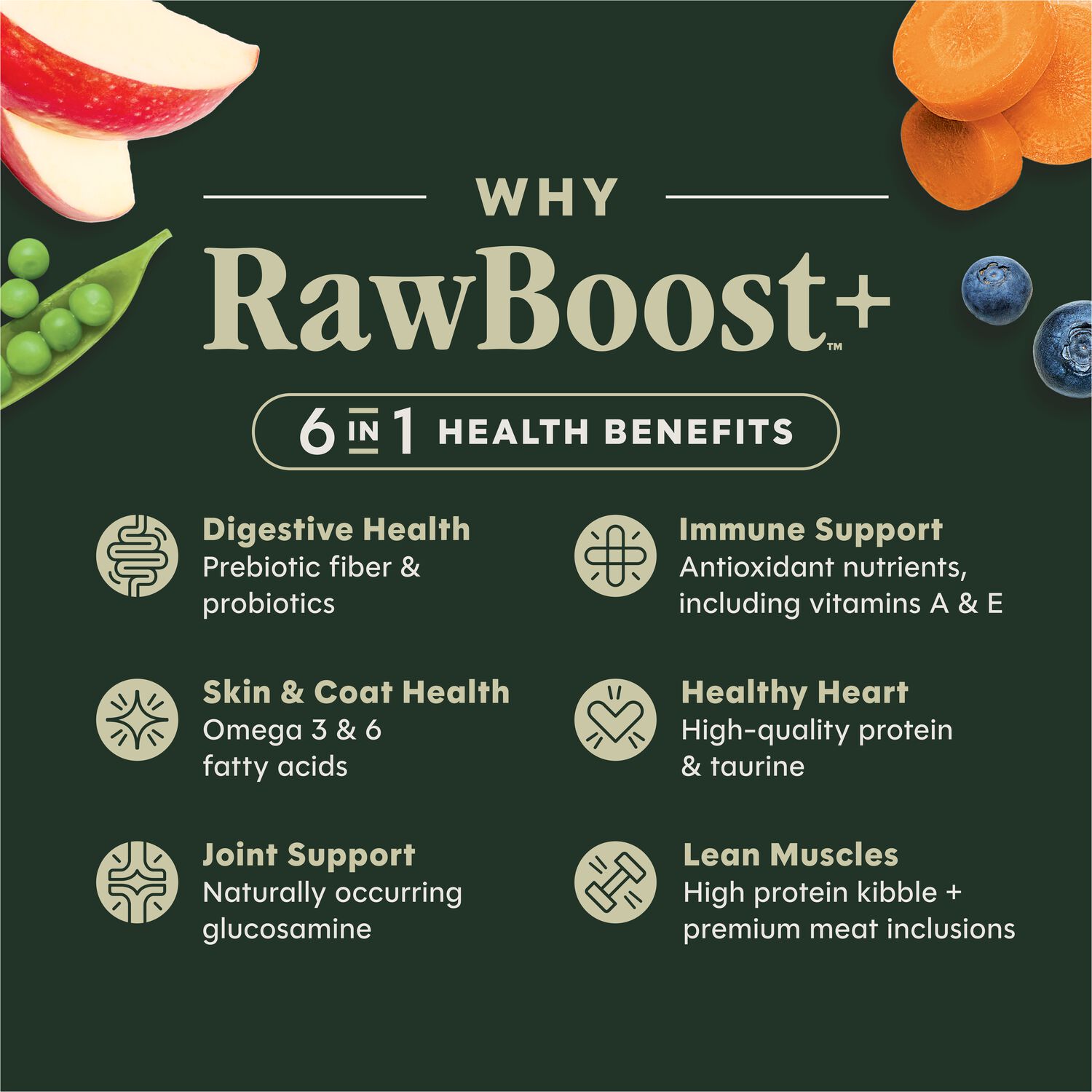 Instinct Raw Boost Grain-Free Recipe With Real Salmon Dry Dog Food, 19-Lb