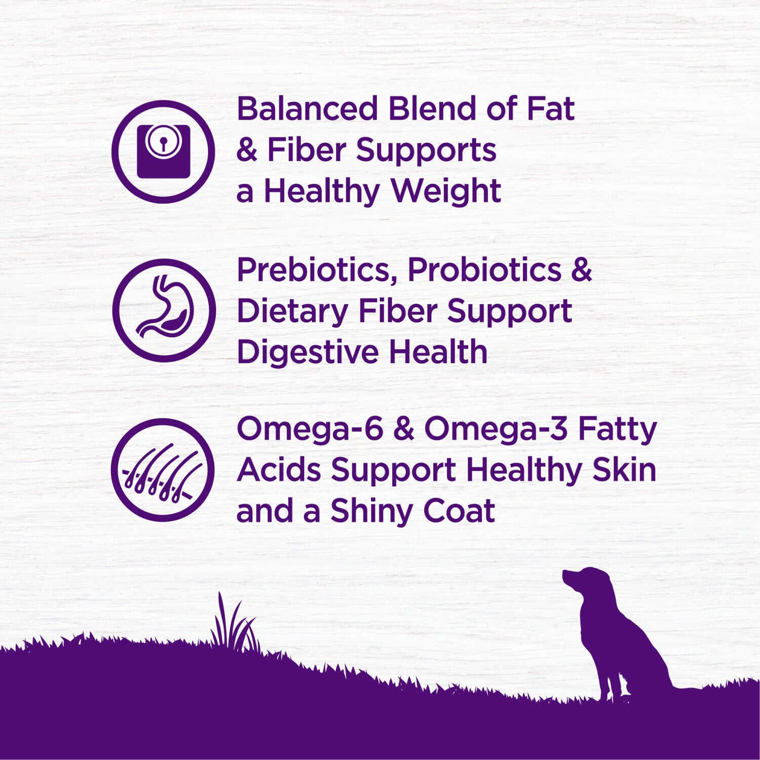 Wellness Complete Health Dry Dog Food, Wholesome Grains, Natural, Healthy Weight Chicken & Peas Recipe, 13-Pound Bag