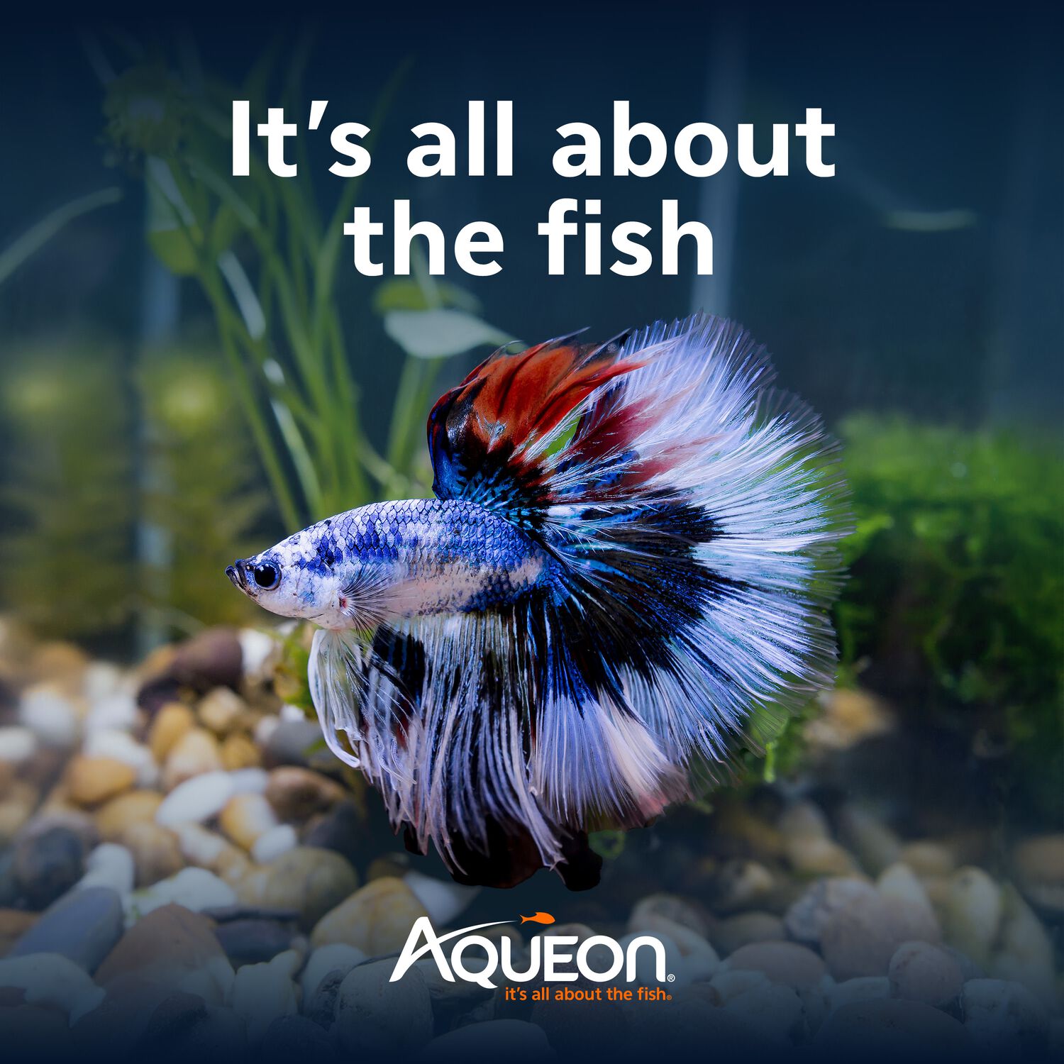 Aqueon Led Minibow Smartclean Desktop Aquarium Kit Fish & Aquatic Habitat, 1-Gallon