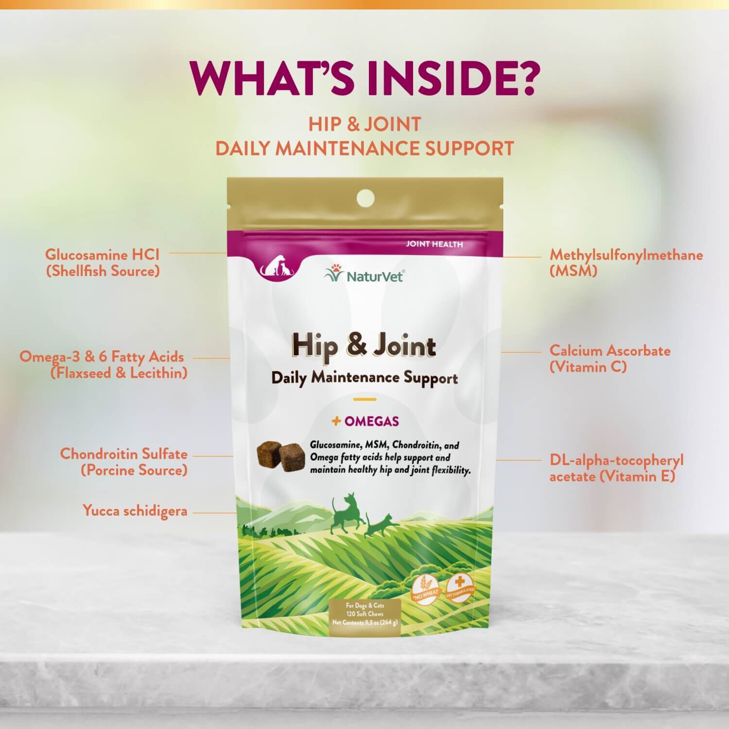 Naturvet Hip & Joint +Omegas Daily Maintenance Support Dog & Cat Soft Chews Supplements