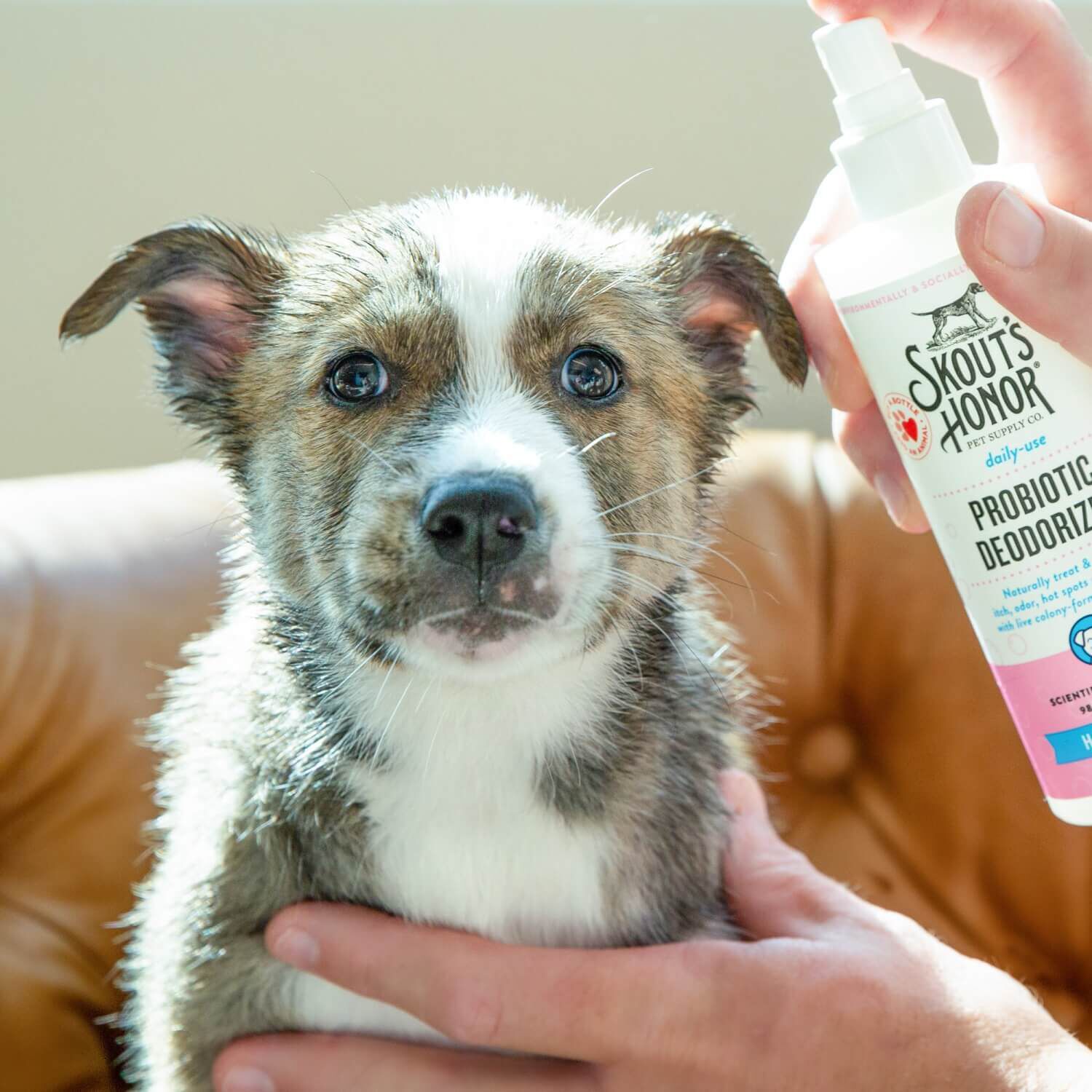 Skouts Honor Probiotic Deodorizer