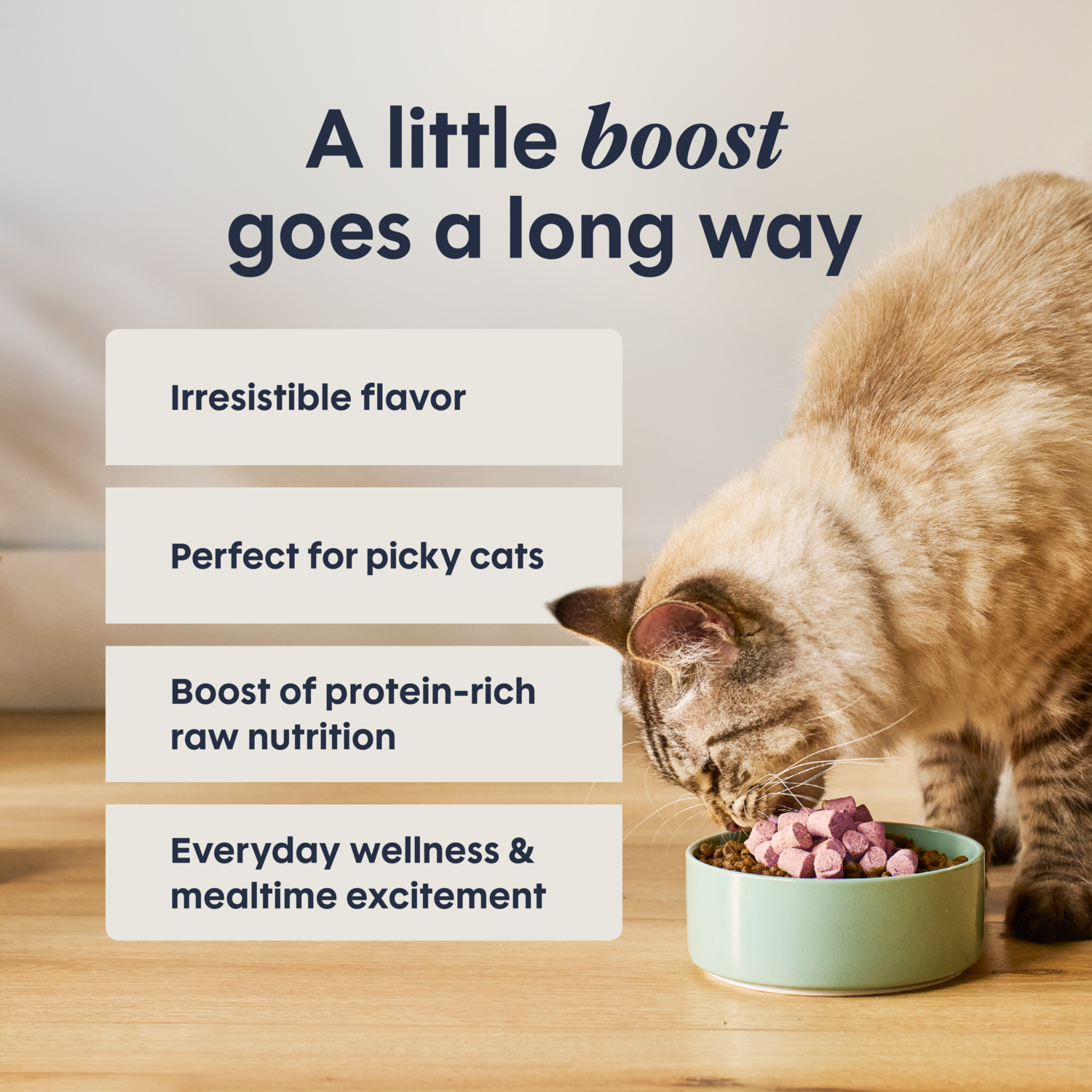 Instinct Rawboost Mixers Grain-Free Skin & Coat Health Recipe Cat Food Topper, 5.5-Oz Bag