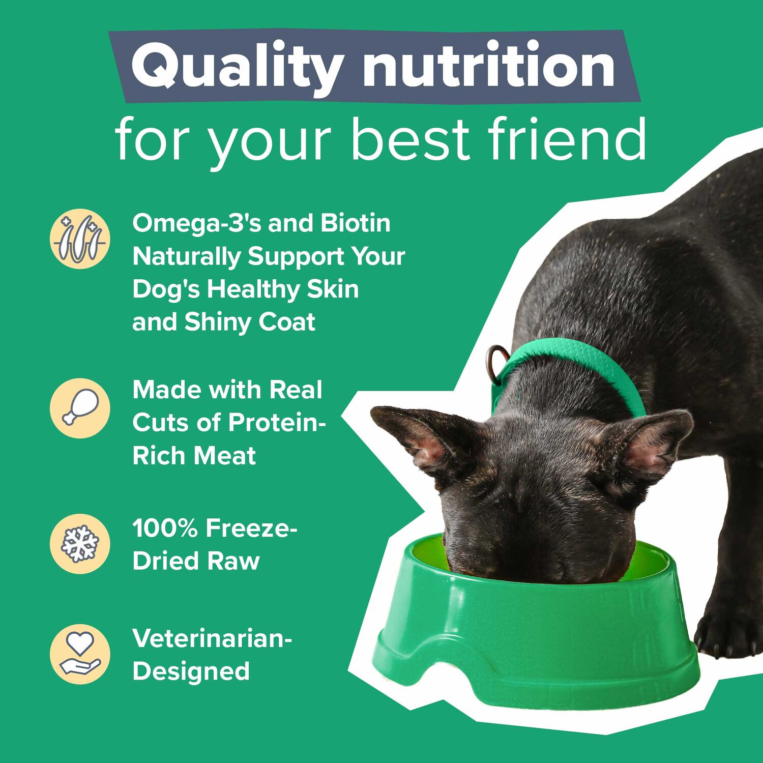Dr. Marty Nature's Blend Radiant Select Freeze Dried Raw Dog Food, 16-Oz Bag