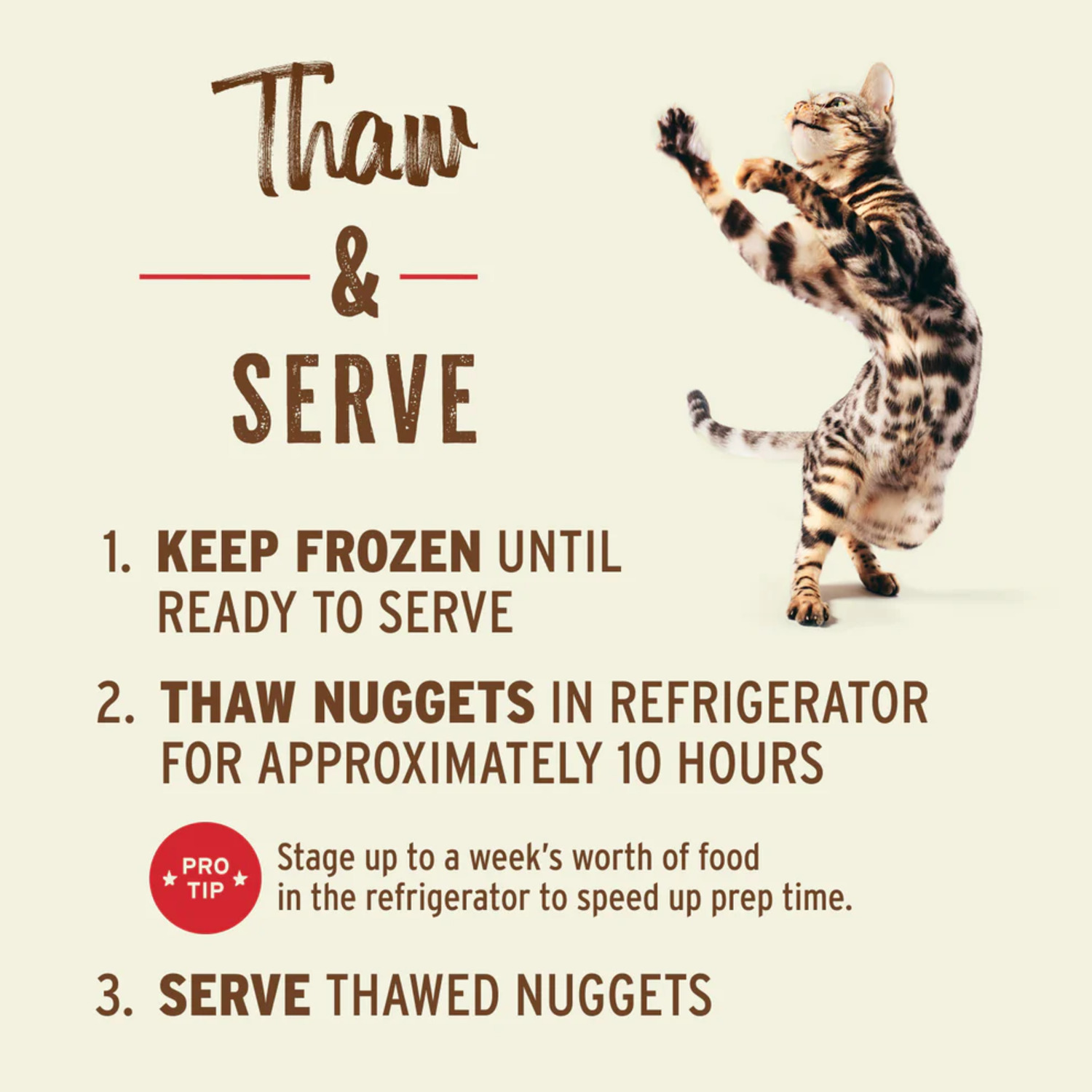 Primal Raw Nuggets Frozen Cat Food, Turkey Recipe