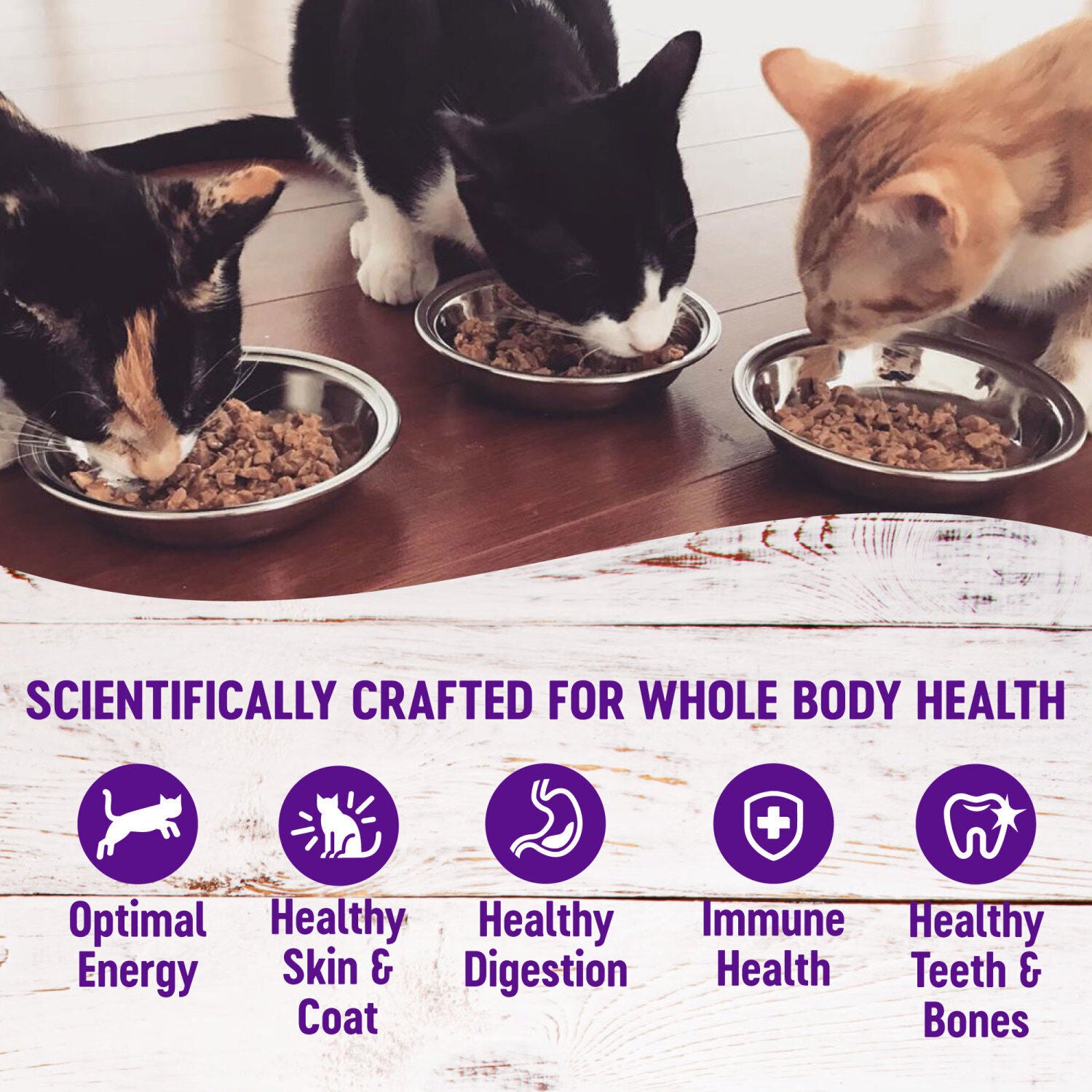 Wellness Healthly Indulgence Morsels Adult Wet Cat Food Salmon & Tuna Recipe, Natural, Protein-Rich, Grain Free, 3 Ounce Pouch