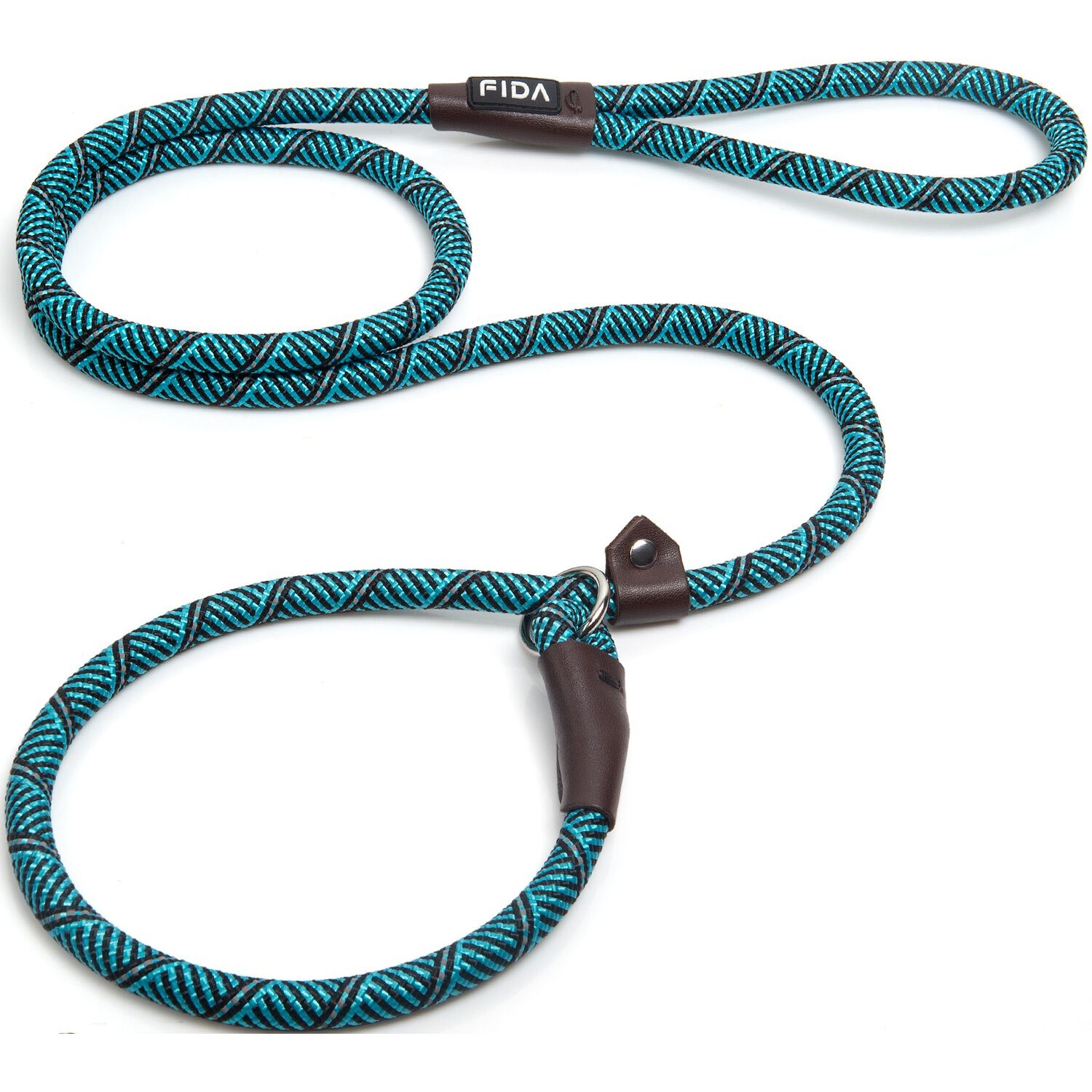 Fida Pet Slip Rope Training Dog Leash, Blue, 6-Ft