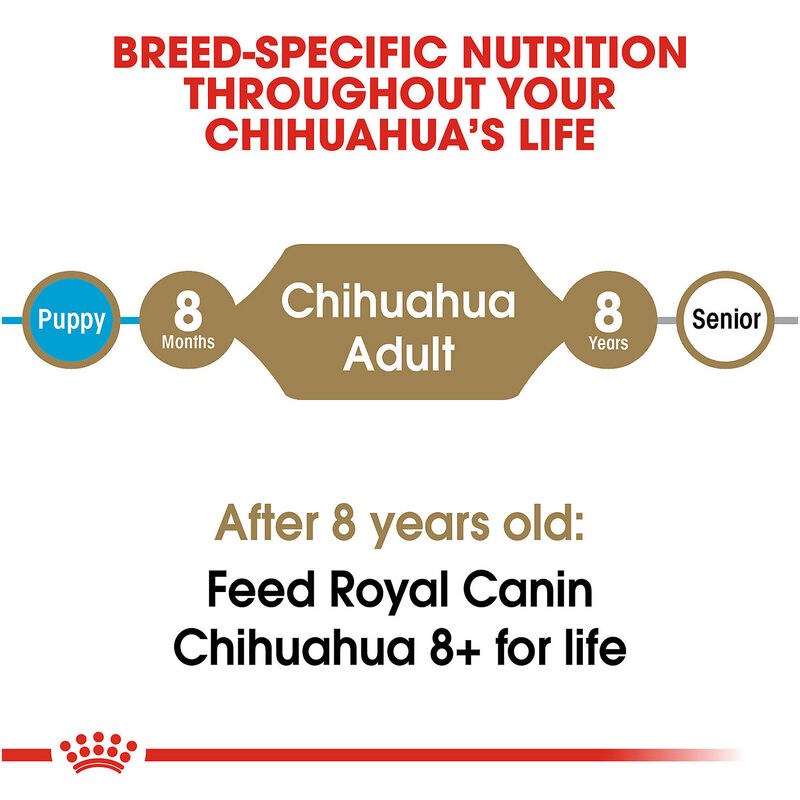 Chihuahua Adult Dog Food image number 4