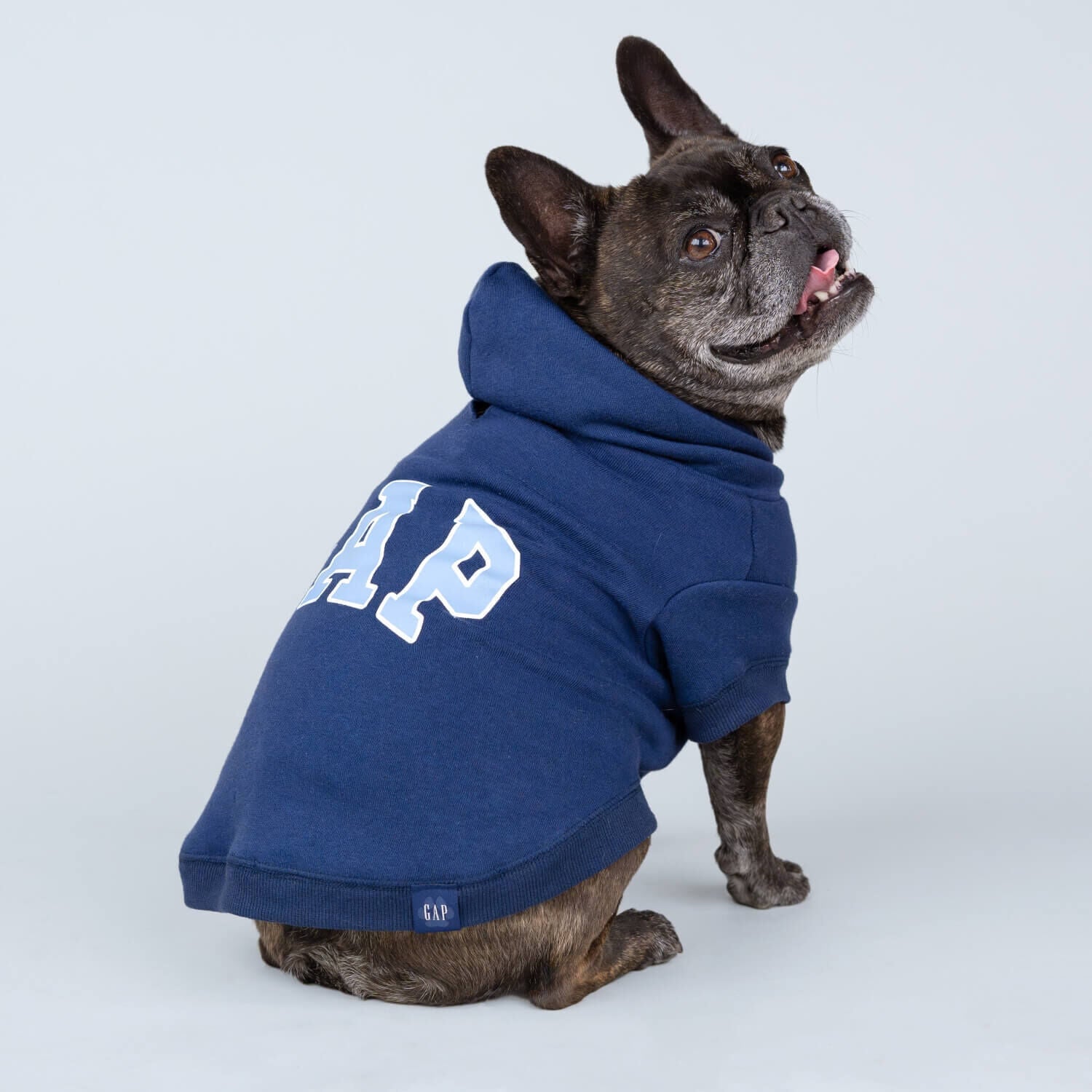 Gap Classic Logo Blue Dog Hoodie 1L Pet Supermarket