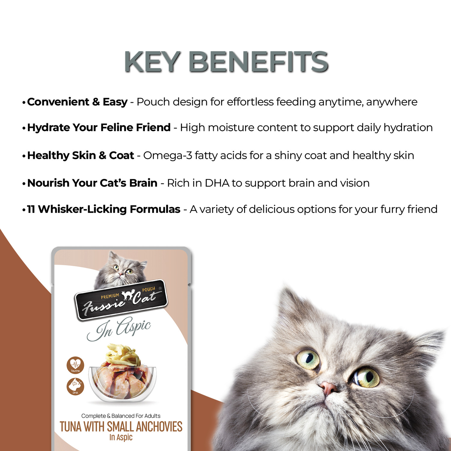 Fussie Cat Premium Tuna With Small Anchovies Wet Cat Food, 2.47 Oz