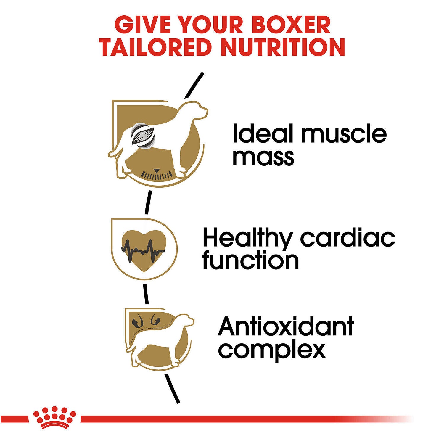 Royal Canin&reg; Breed Health Nutrition&reg; Boxer Adult Dry Dog Food, 30 Lb