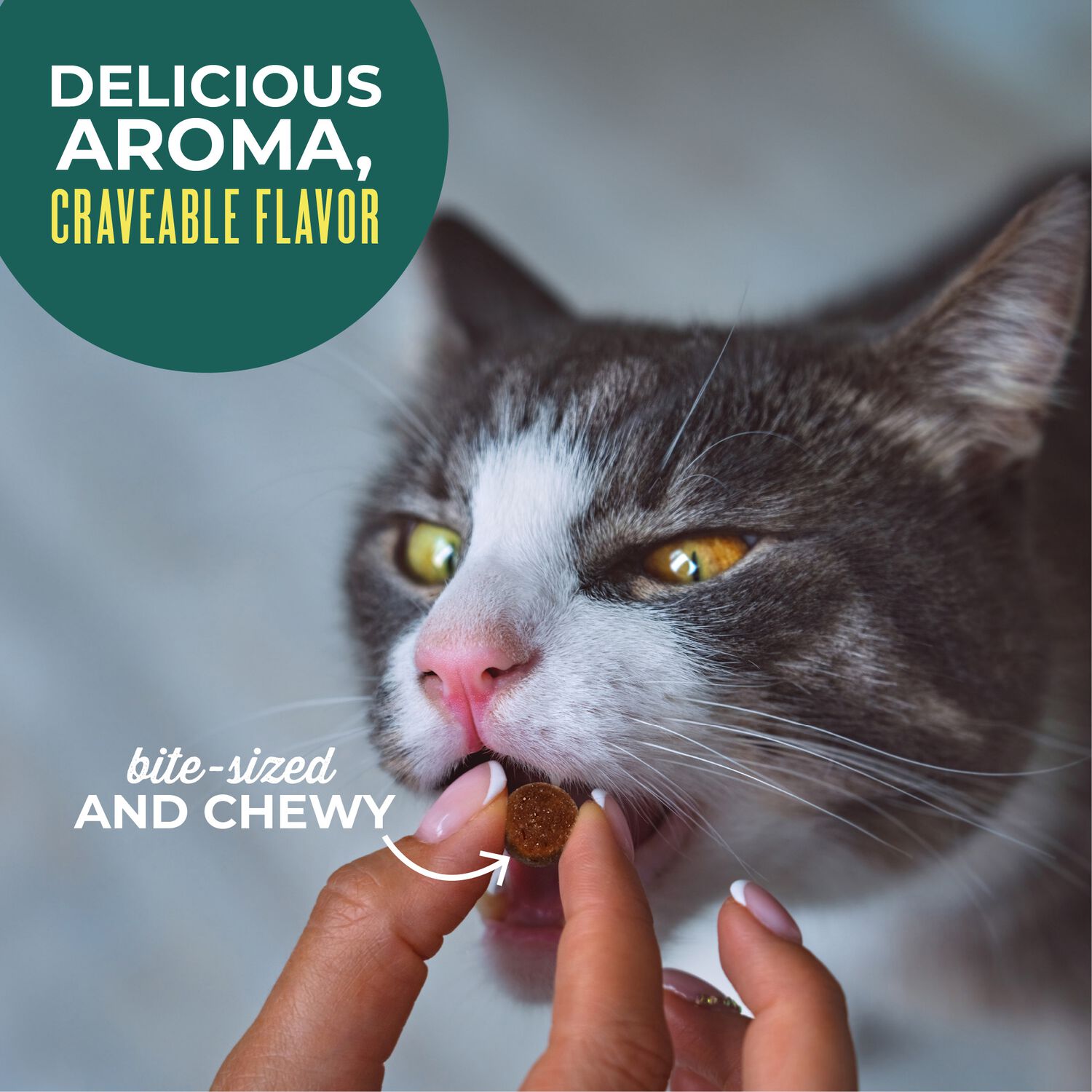 Tiki Cat Soft & Chewy Tuna Flavor Cat Treats, 2-Oz Bag