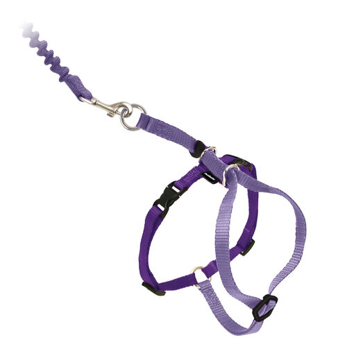 Pet Safe Come With Me Kitty Harness And Bungee Cat Leash, Lilac/Deep Purple