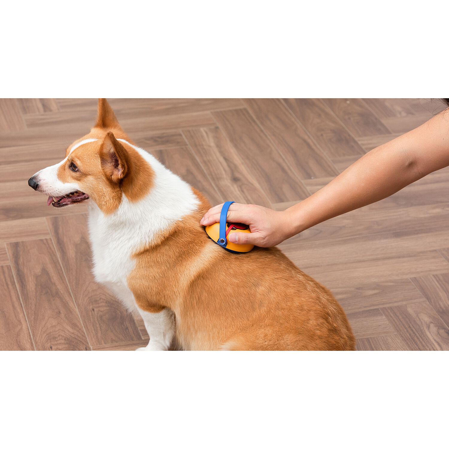 Arm & Hammer Simply Grooming Soap Dispensing Dog Brush