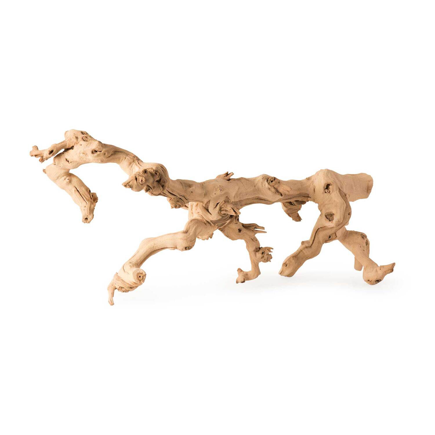 Gal&aacute;pagos Walking Wood, Grapevine Branch, Natural, 19-24In