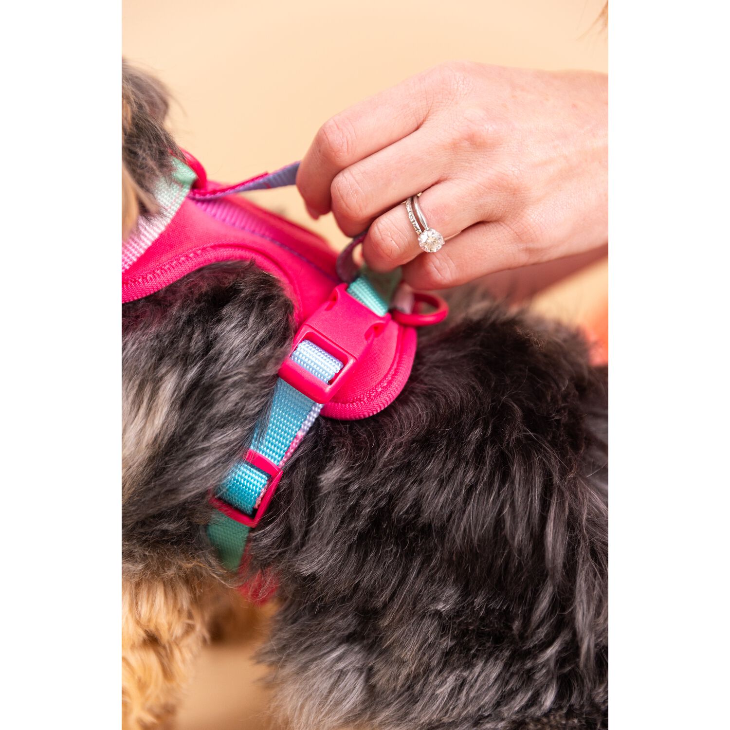 Pink Papyrus Stasia Dual Clip Versitle Buckle Adjustable Dog Harness, Pink, Large