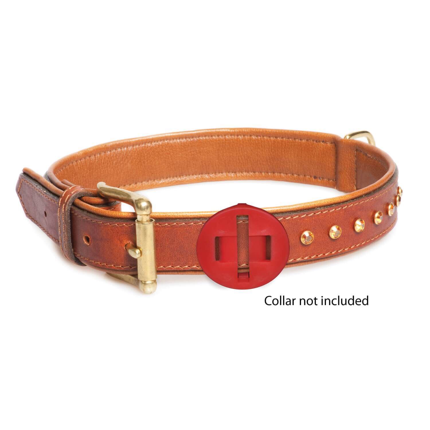 Calm Paws Calming Disk Medallion Dog Collar Attachment