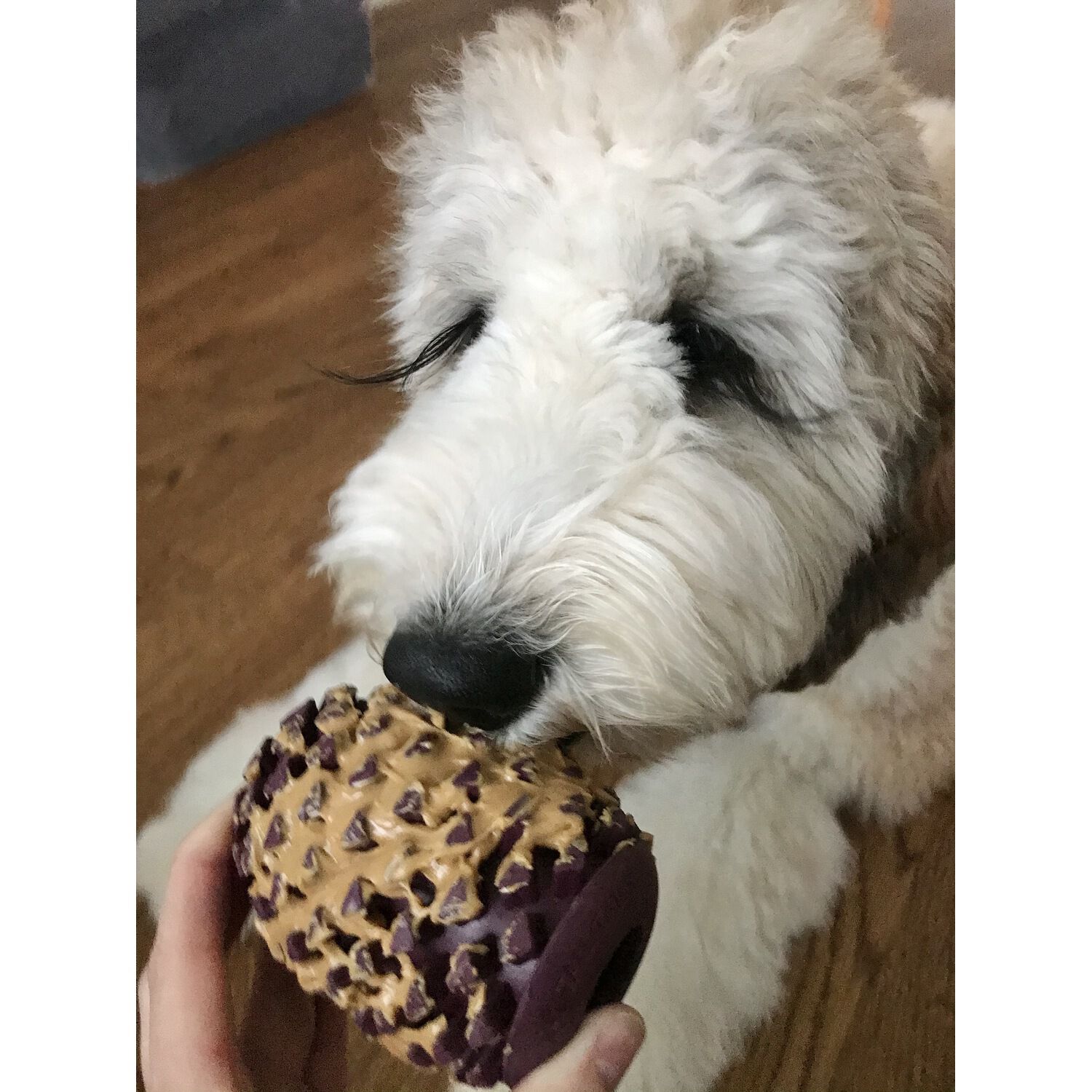 Tall Tails Rubber Pinecone Textured Treat Dispensing Dog Toy, 4"