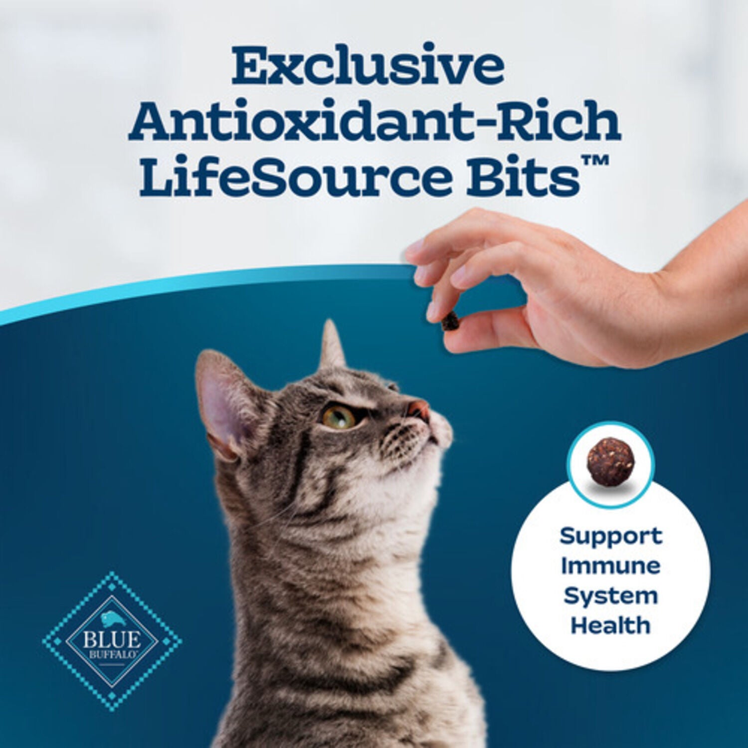 Blue Buffalo Tastefuls Adult Indoor Cat Dry Cat Food, Salmon & Brown Rice, 7-Lb Bag
