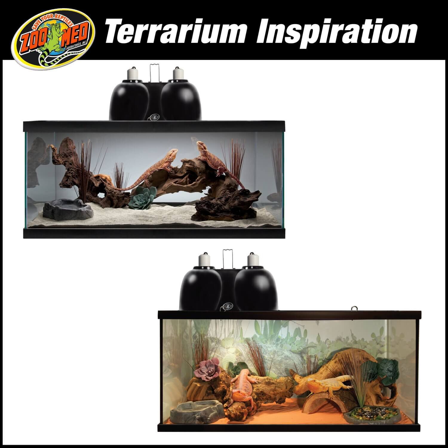 Zoo med bearded dragon starter kit sale