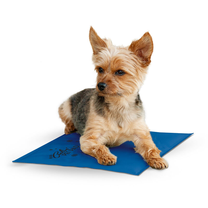 K&H PET PRODUCTS Coolin' Dog Mat, Blue, X-Large 