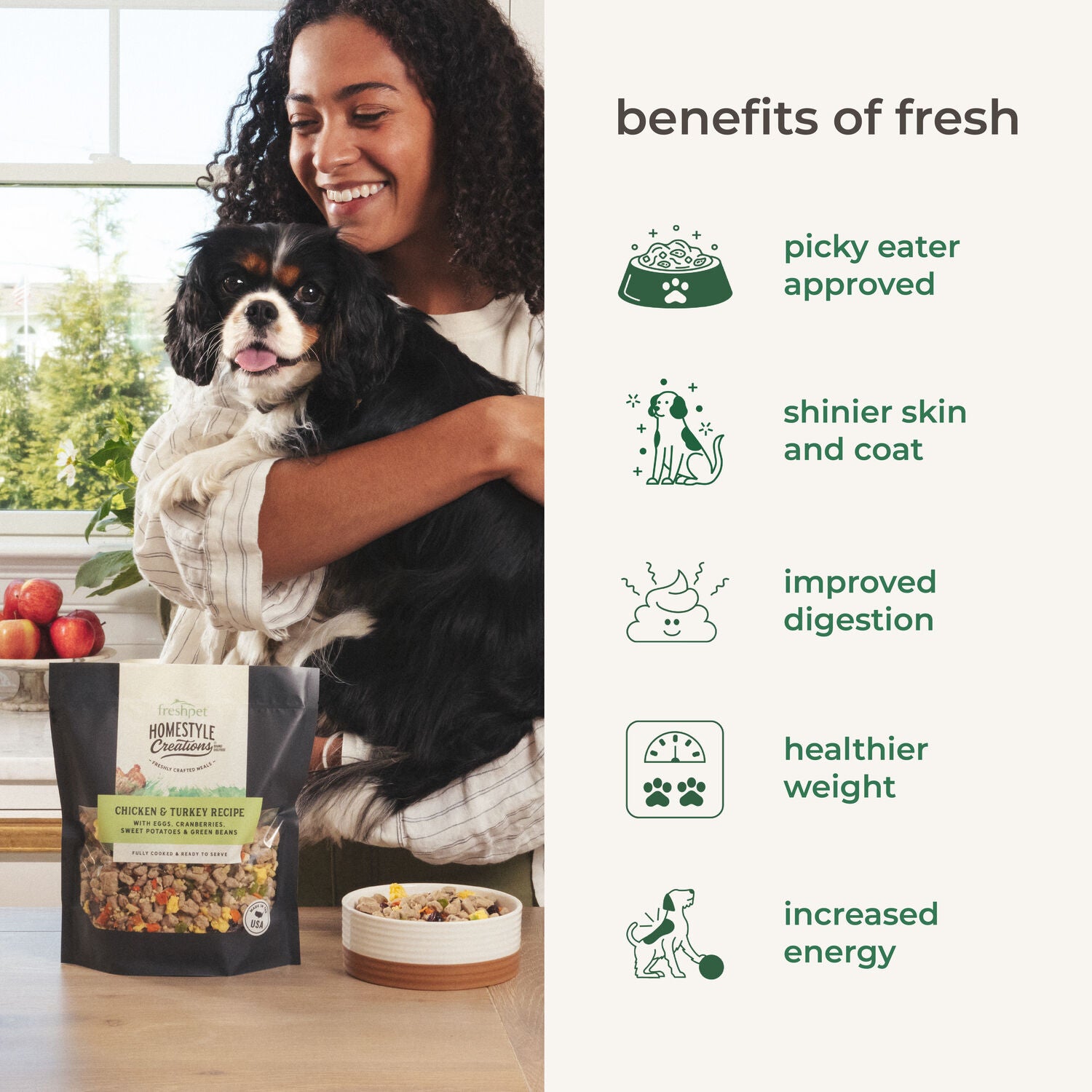 Freshpet Homestyle Creations Fresh Dog Food - Beef, Chicken & Turkey Recipe, 1-Lb Bag
