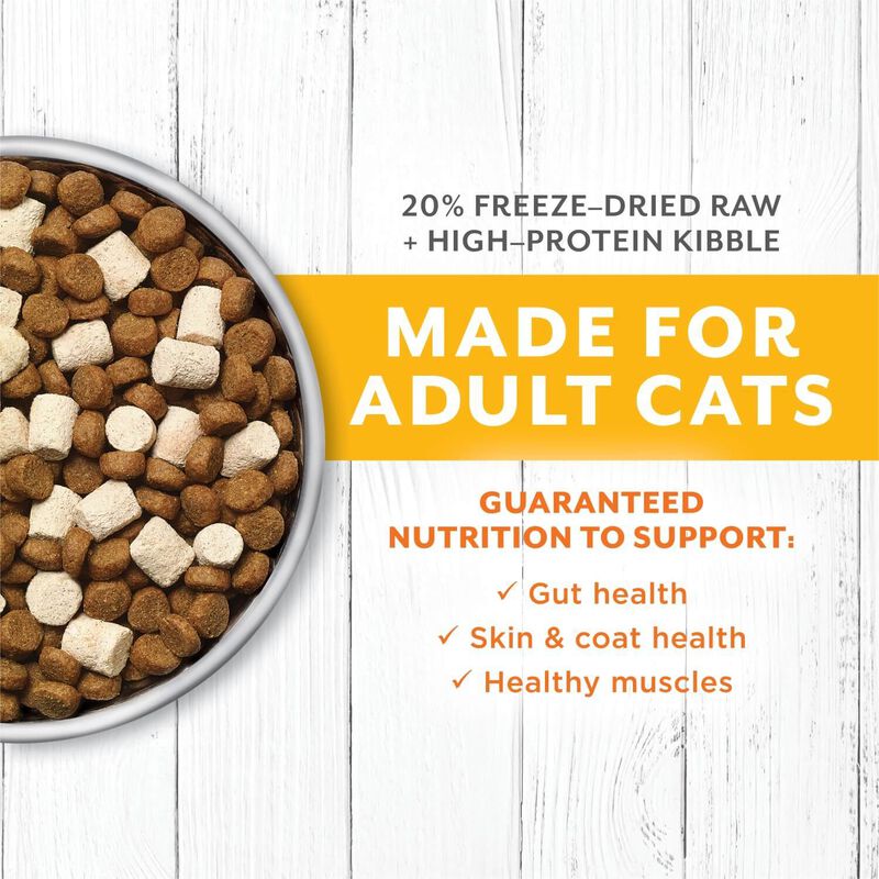 Instinct® Raw Longevity™ 20% Freeze Dried Raw Meal Blend Grain Free Recipe With Cage Free Chicken For Cat image number 3