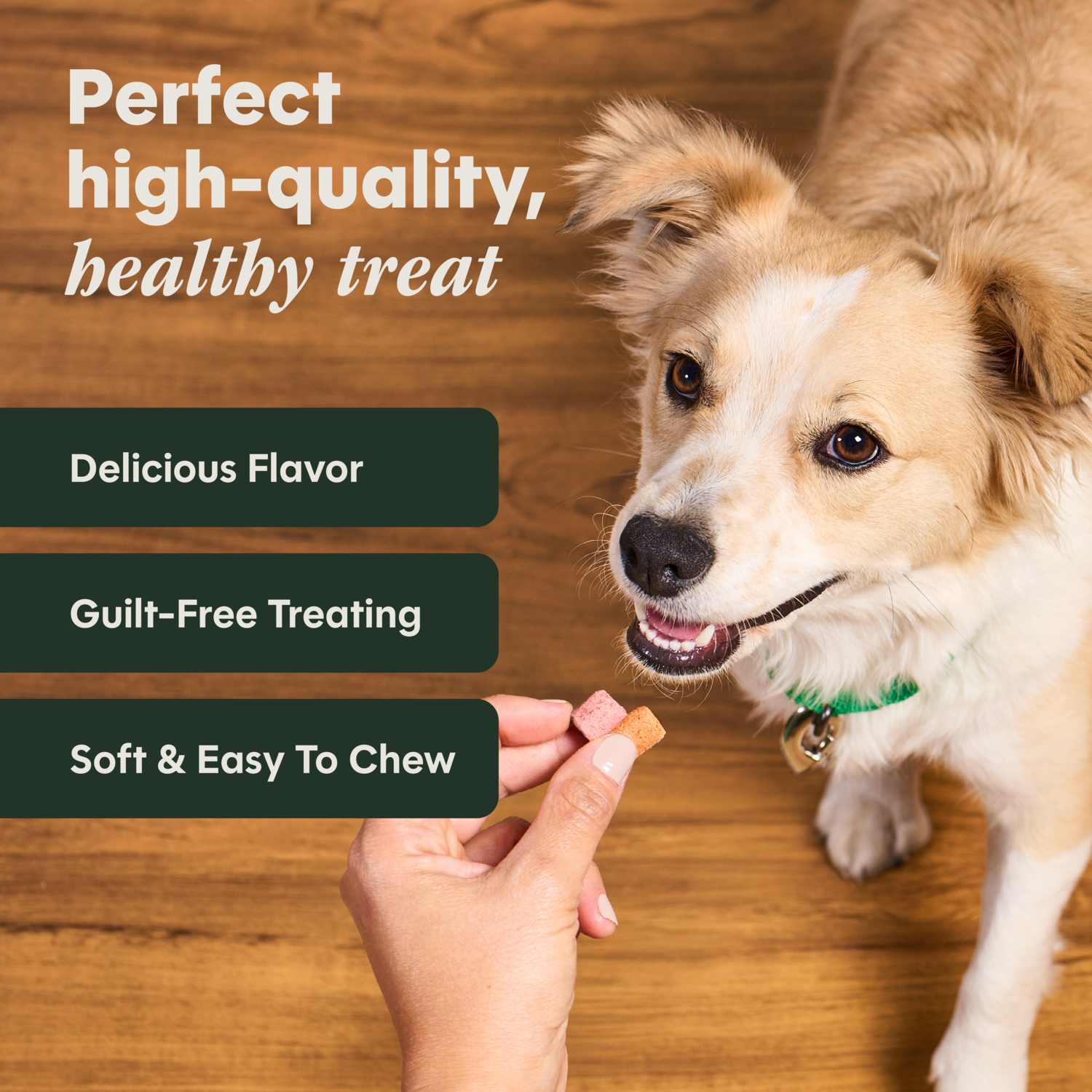 Instinct Duos Beautiful Inside & Out 2:1 Skin & Coat + Gut Health Freeze-Dried Dog Treats, 4-Oz