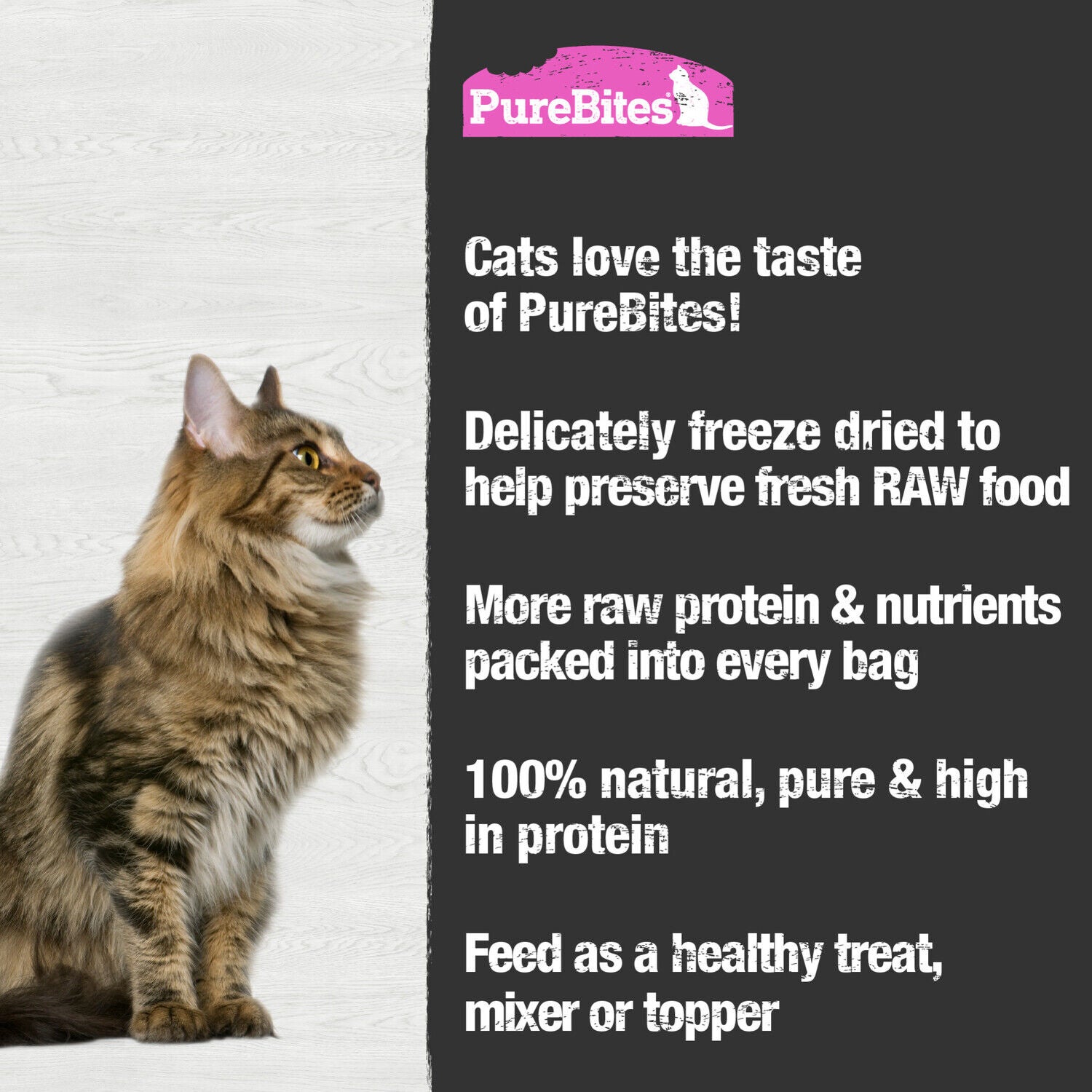 Purebites Salmon Freeze Dried Cat Treats, 1 Ingredient, Made In Usa, 2Oz