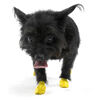 Natural Rubber Waterproof Dog Boots thumbnail number 2