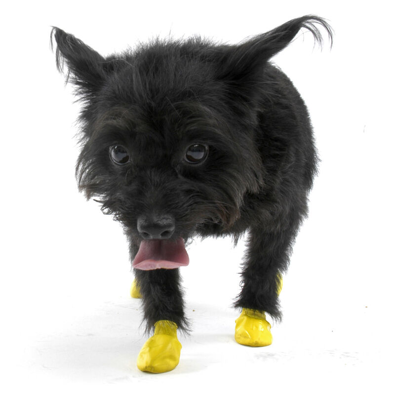 Natural Rubber Waterproof Dog Boots image number 2