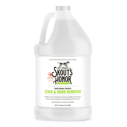 Stain And Odor Remover