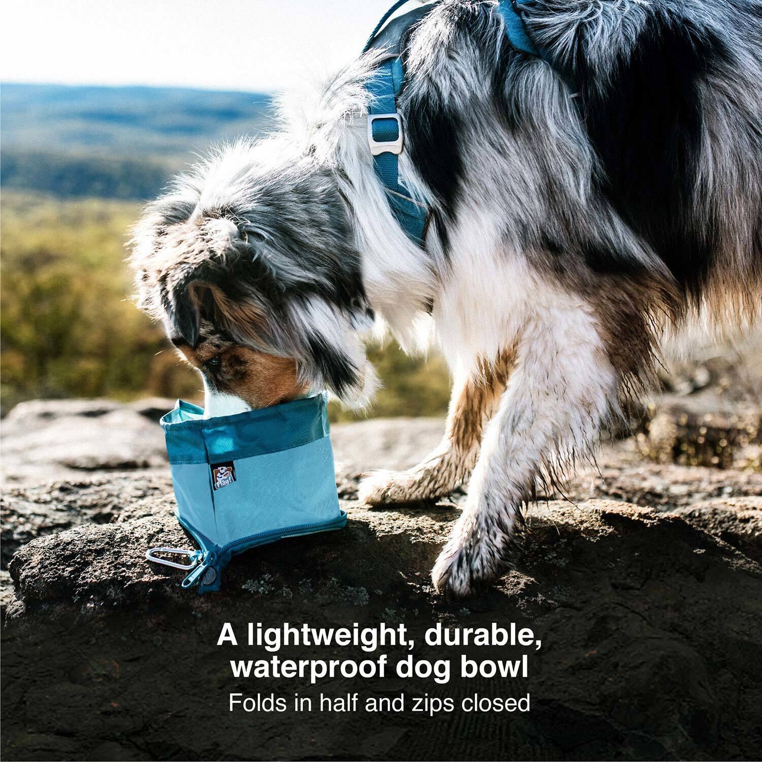 Kurgo Zippy Dog Travel Bowl