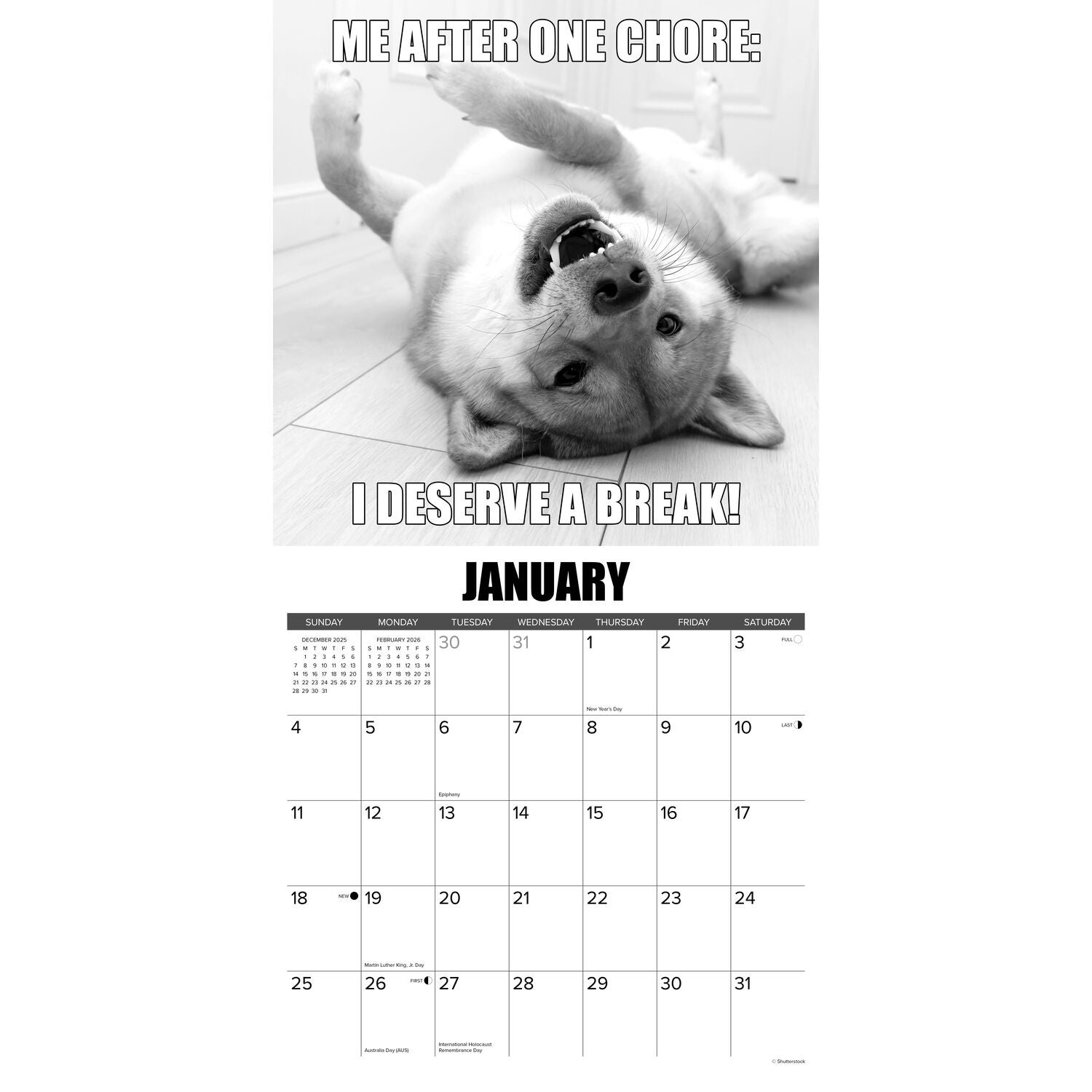 Willow Creek Press 2026 Dog-Gone-It Wall Calendar