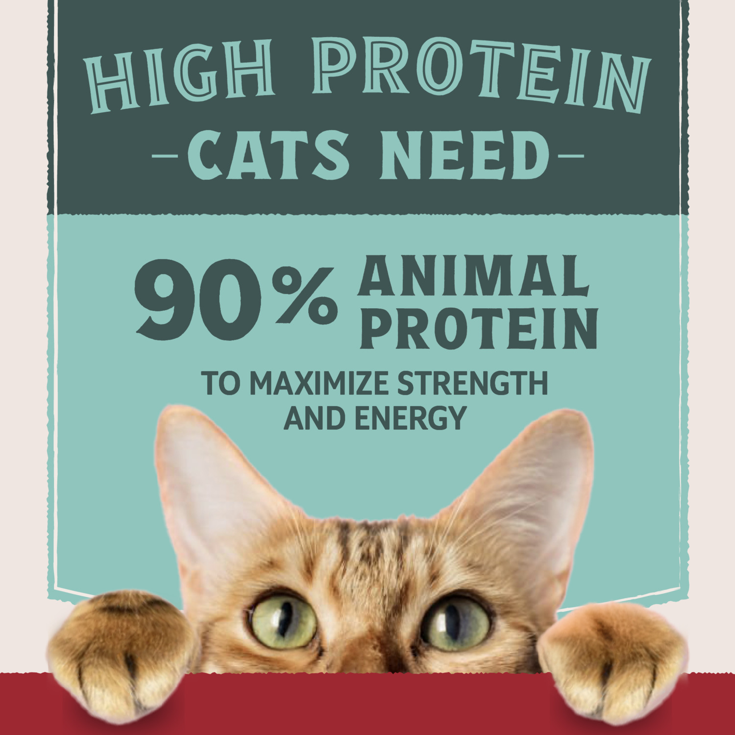 Natural Balance Ultra Protein Wet Cat Food, Real Chicken Recipe With Protein-Rich Organs Pate, 2.8 Oz.