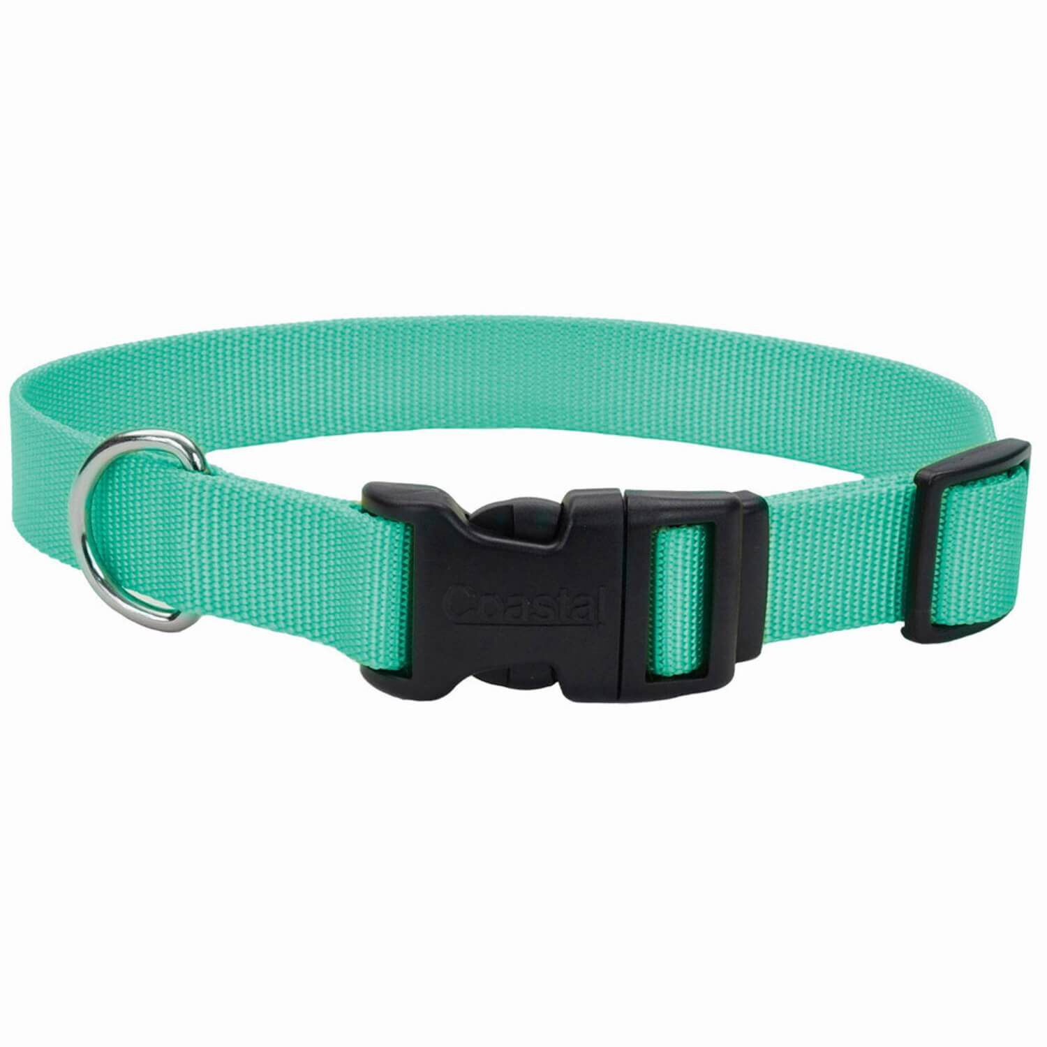 Coastal Pet Products Adjustable Dog Collar With Plastic Buckle, Teal