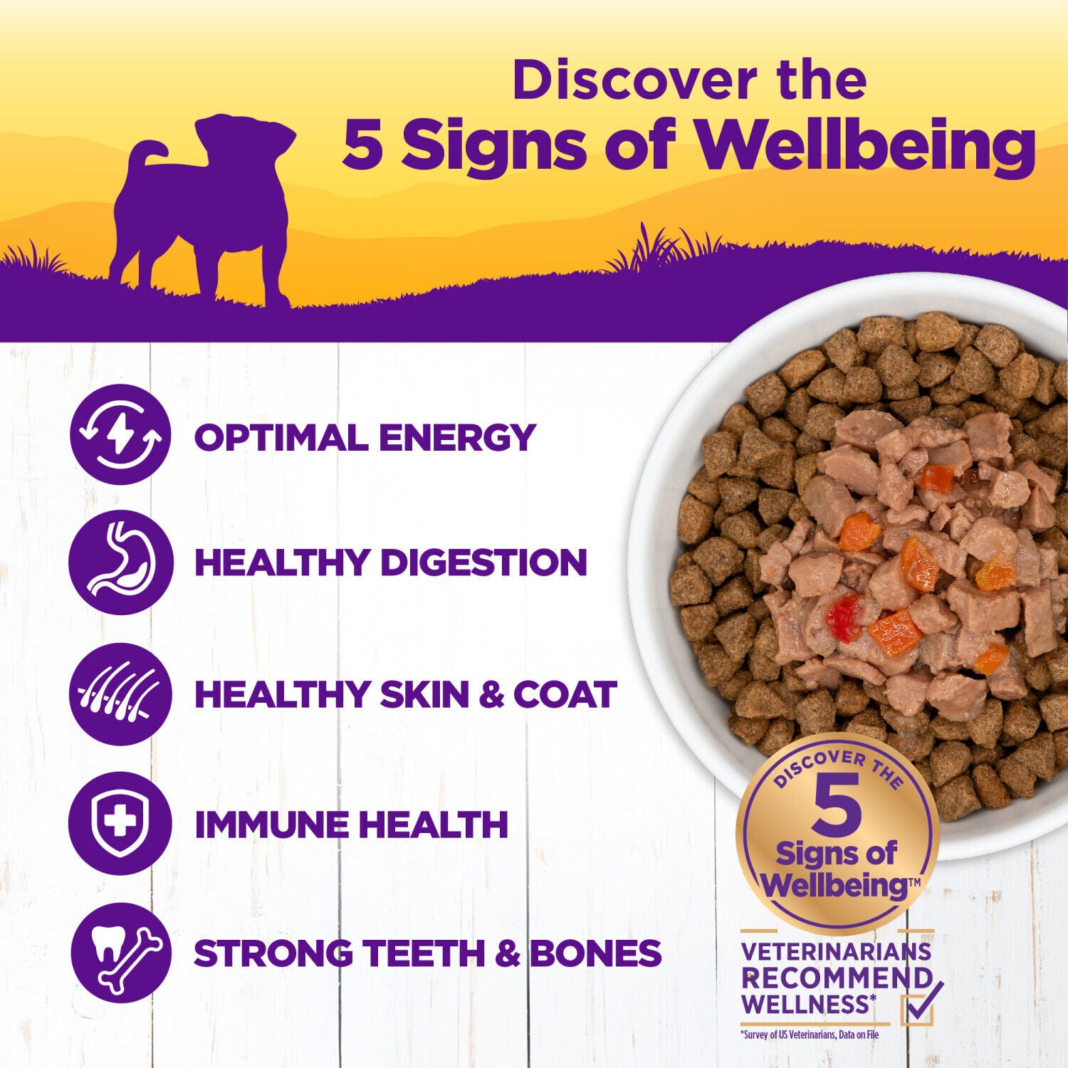 Wellness Petite Entr&eacute;es Mini-Filets Small Breed Wet Dog Food With Roasted Beef, Carrots & Red Peppers In Gravy, 3-Ounce Cup