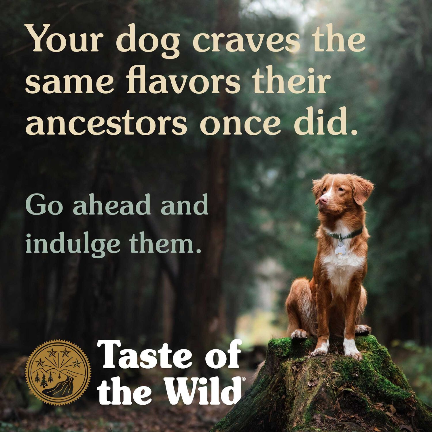 Taste Of The Wild Pacific Stream Canine Recipe With Smoke-Flavored Salmon Grain-Free Dry Dog Food, 5-Lb Bag