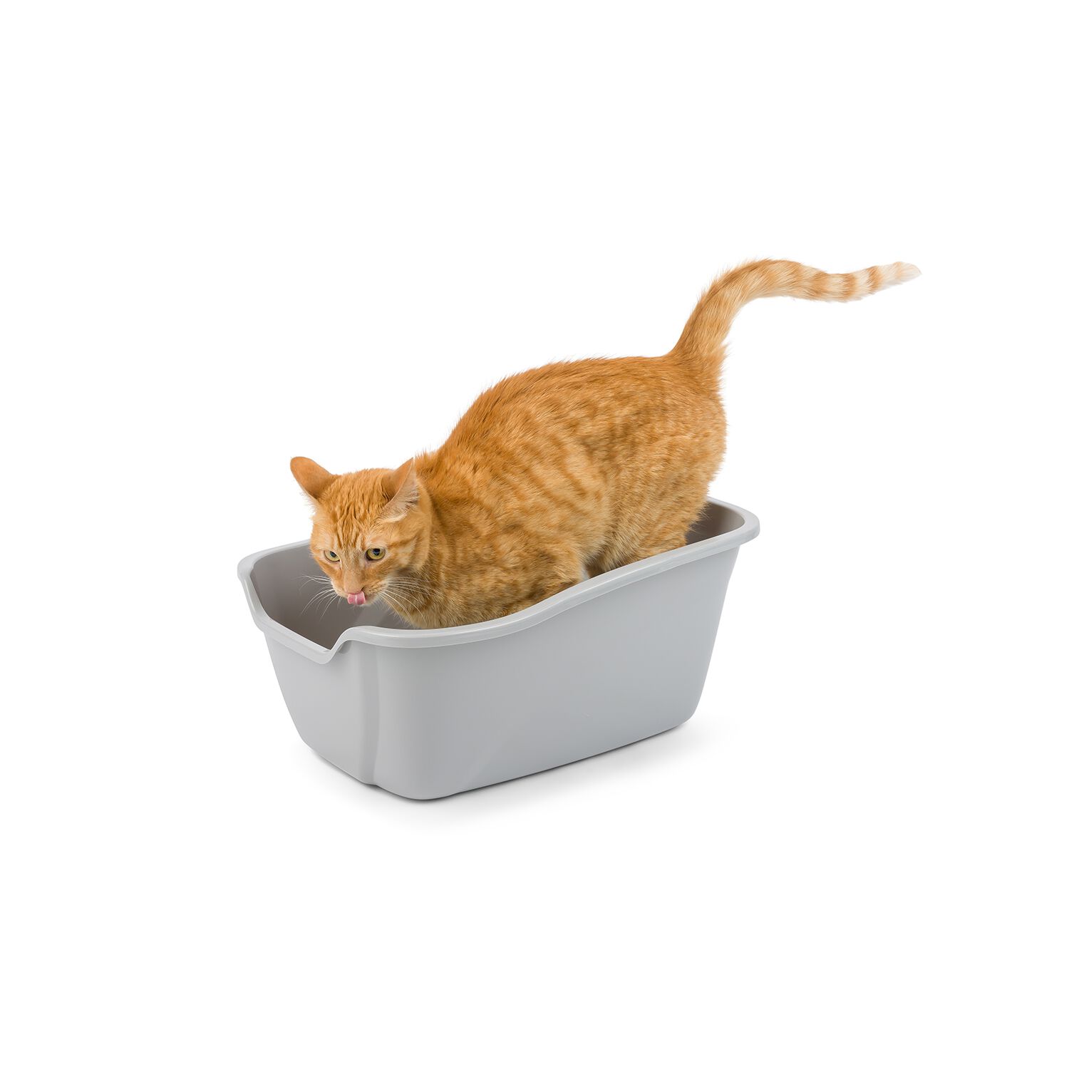 Van Ness High Sides Cat Litter Pan, White- Giant