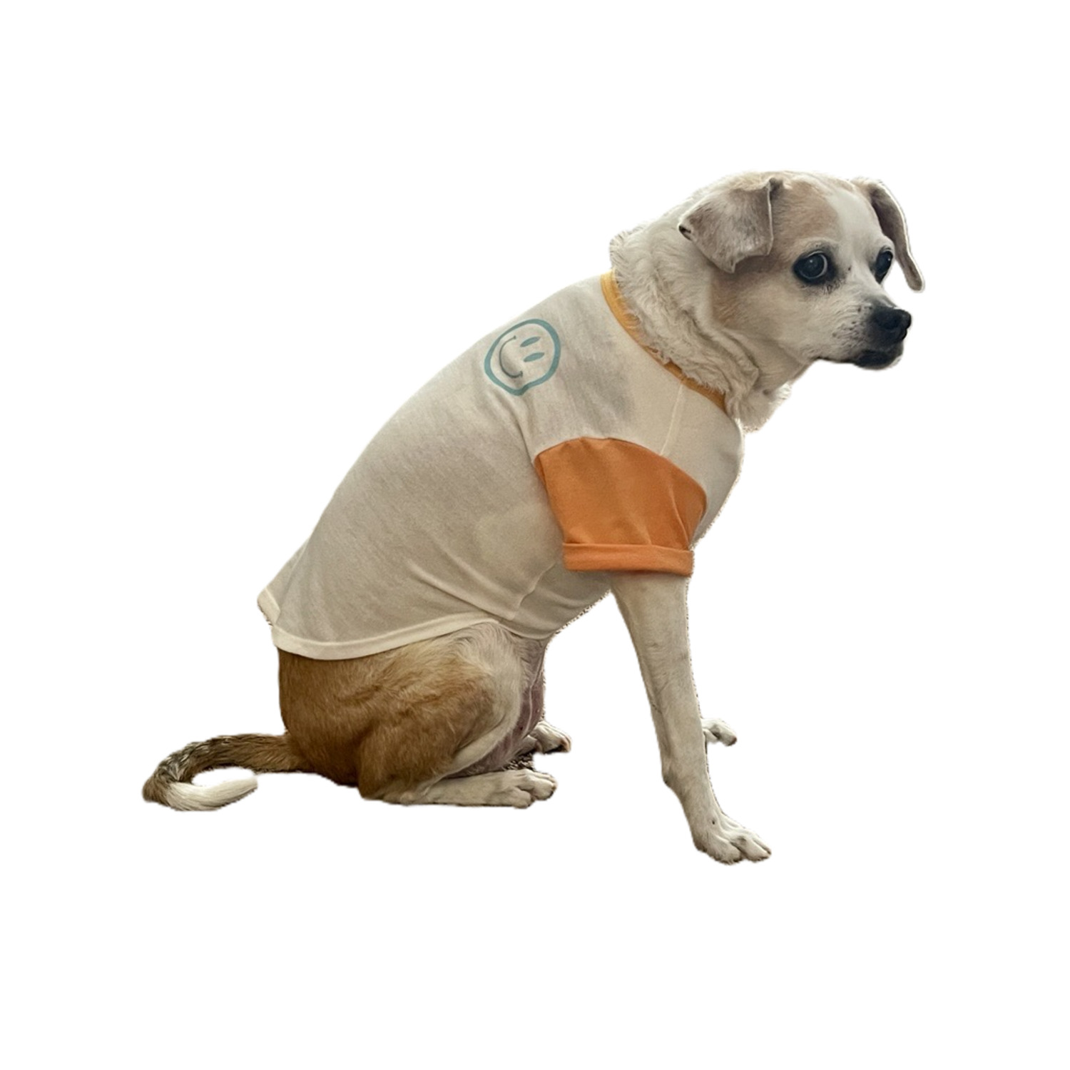 Bailey & Bella Tan Color Block Smiley Dog T-Shirt, Extra Large