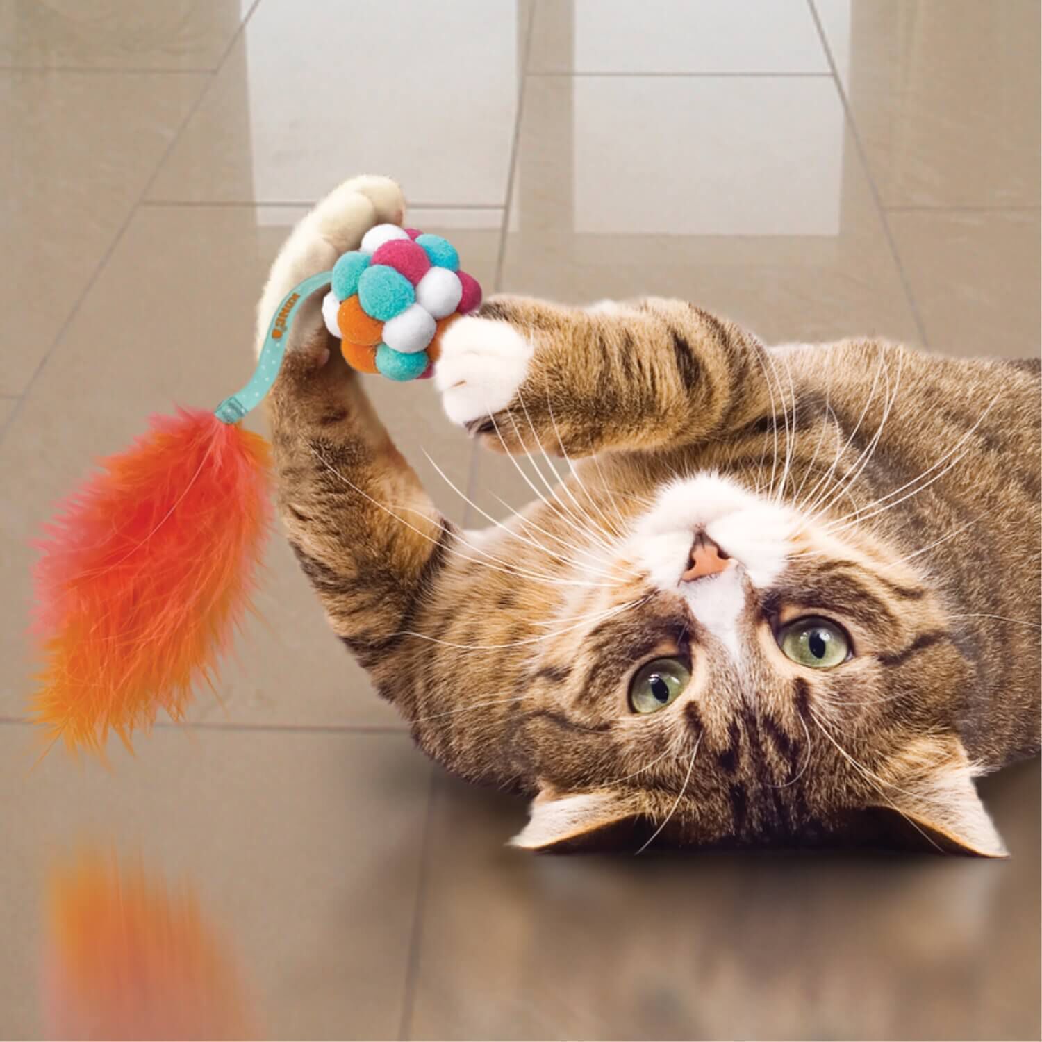 Kong Cat Active Bubble Ball Interactive Cat Toy, Assorted