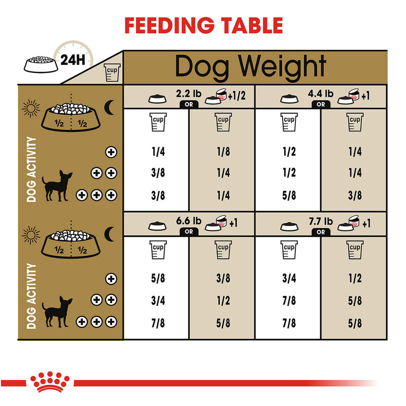 Royal Canin Breed Health Nutrition Chihuahua Adult Dry Dog Food